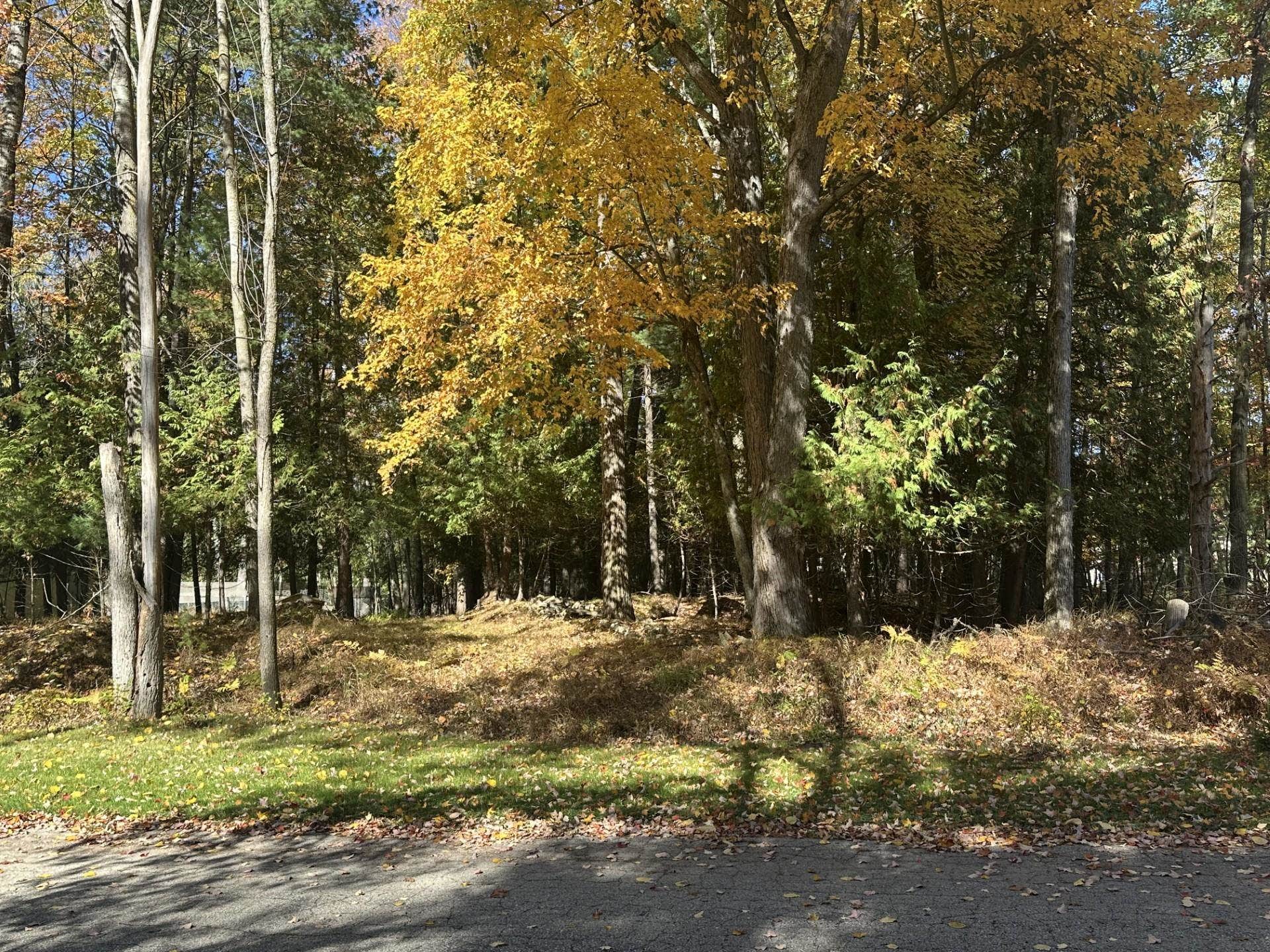 450 Marnie 1.07 Acres Lane, Peshtigo, WI 54157