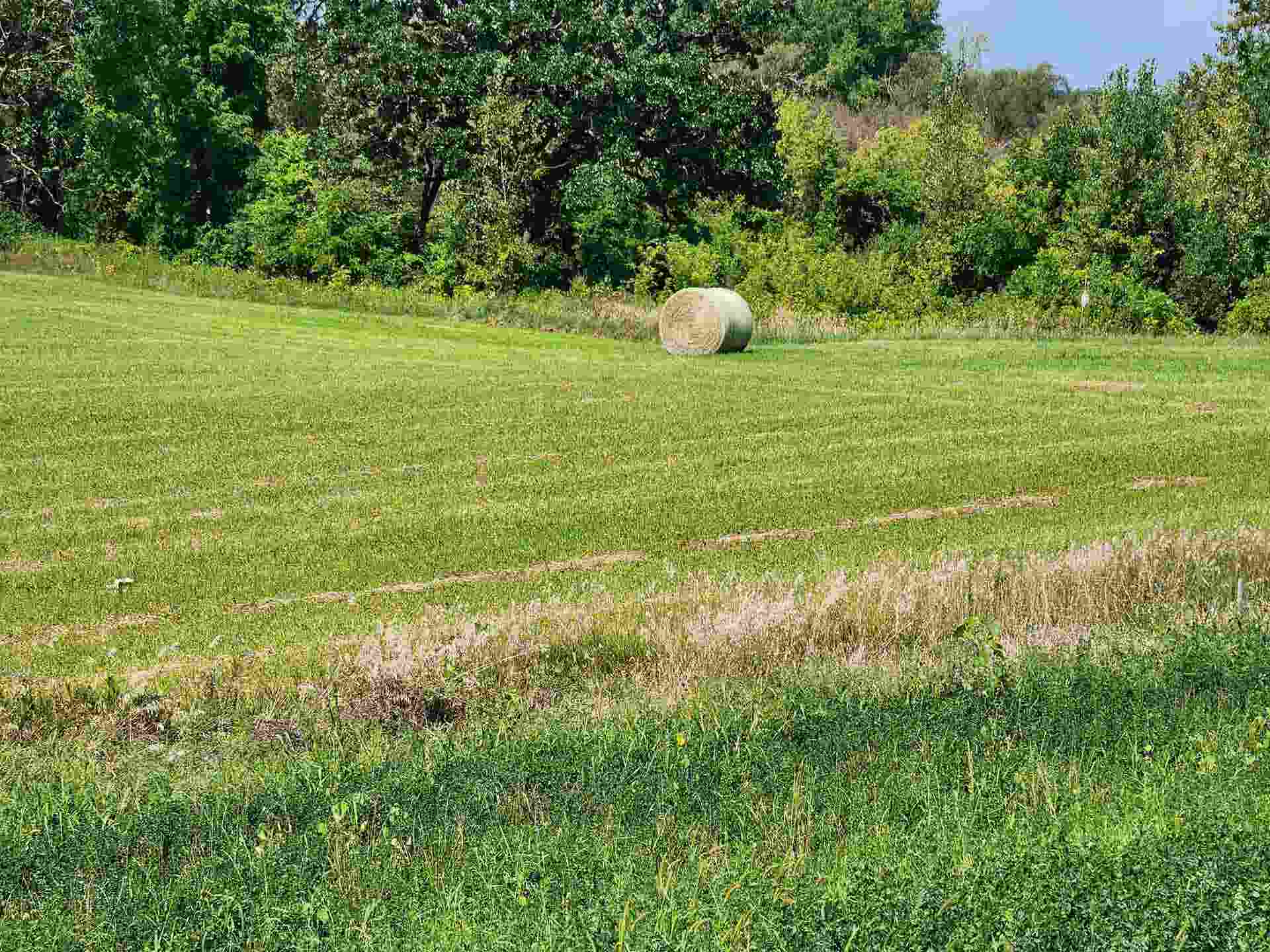 L3 Edward Court, Deforest, WI 53532