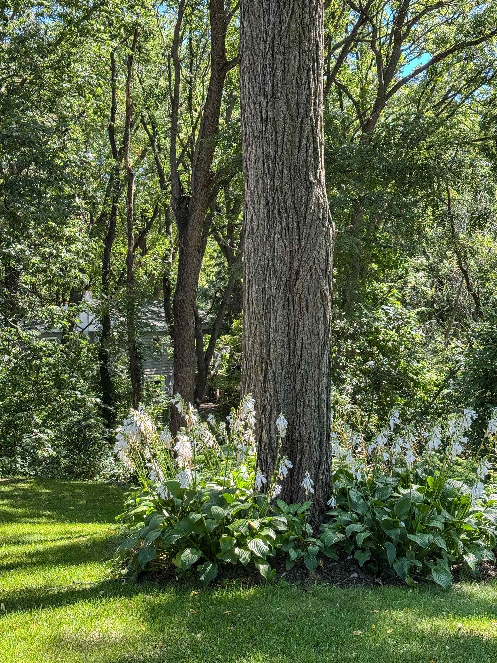 2001 Timber Lake Road, Oregon, WI 53575