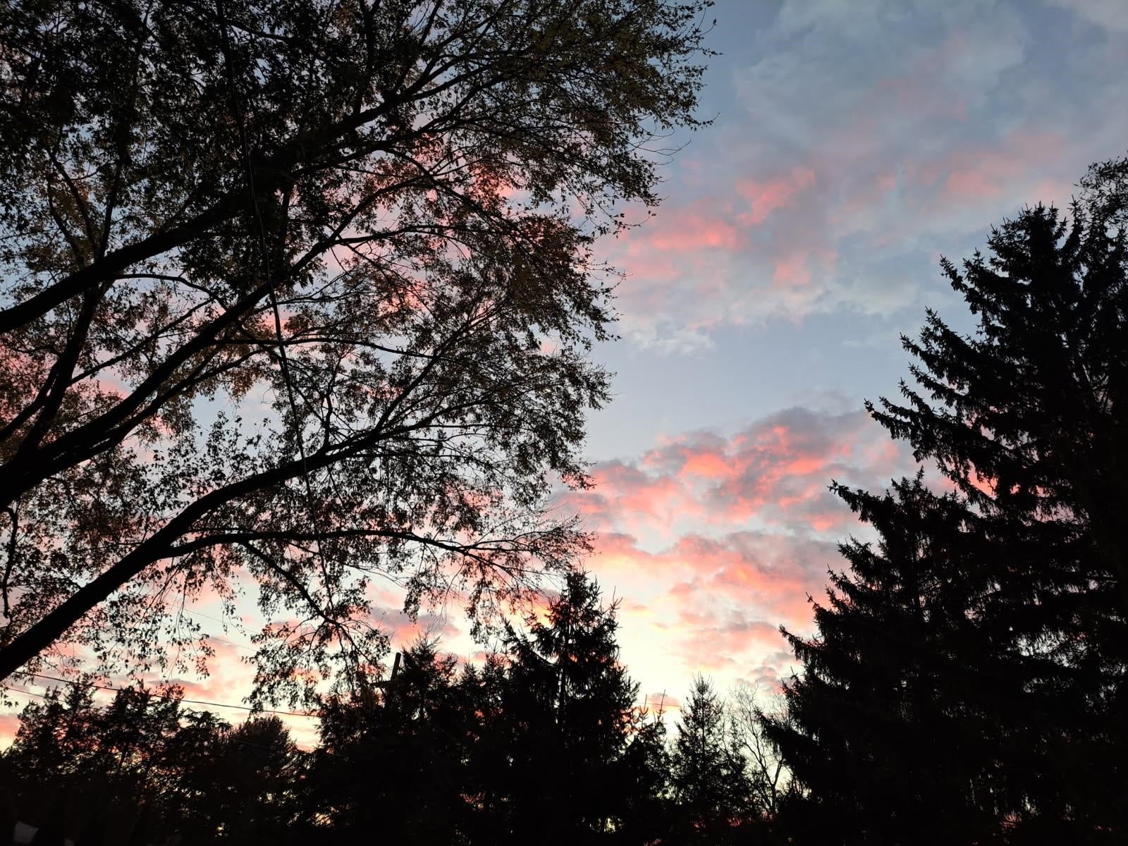 2307 White Oak Trail, Dunn, WI 53575