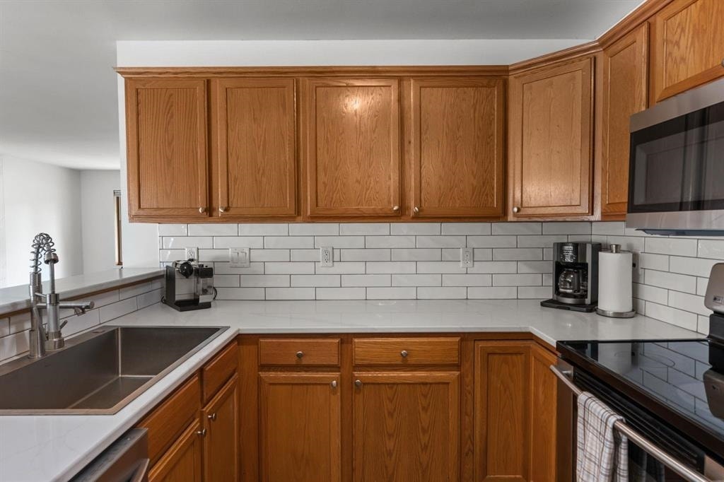 438 Cherry Hill Drive, Madison, WI 53717-2653