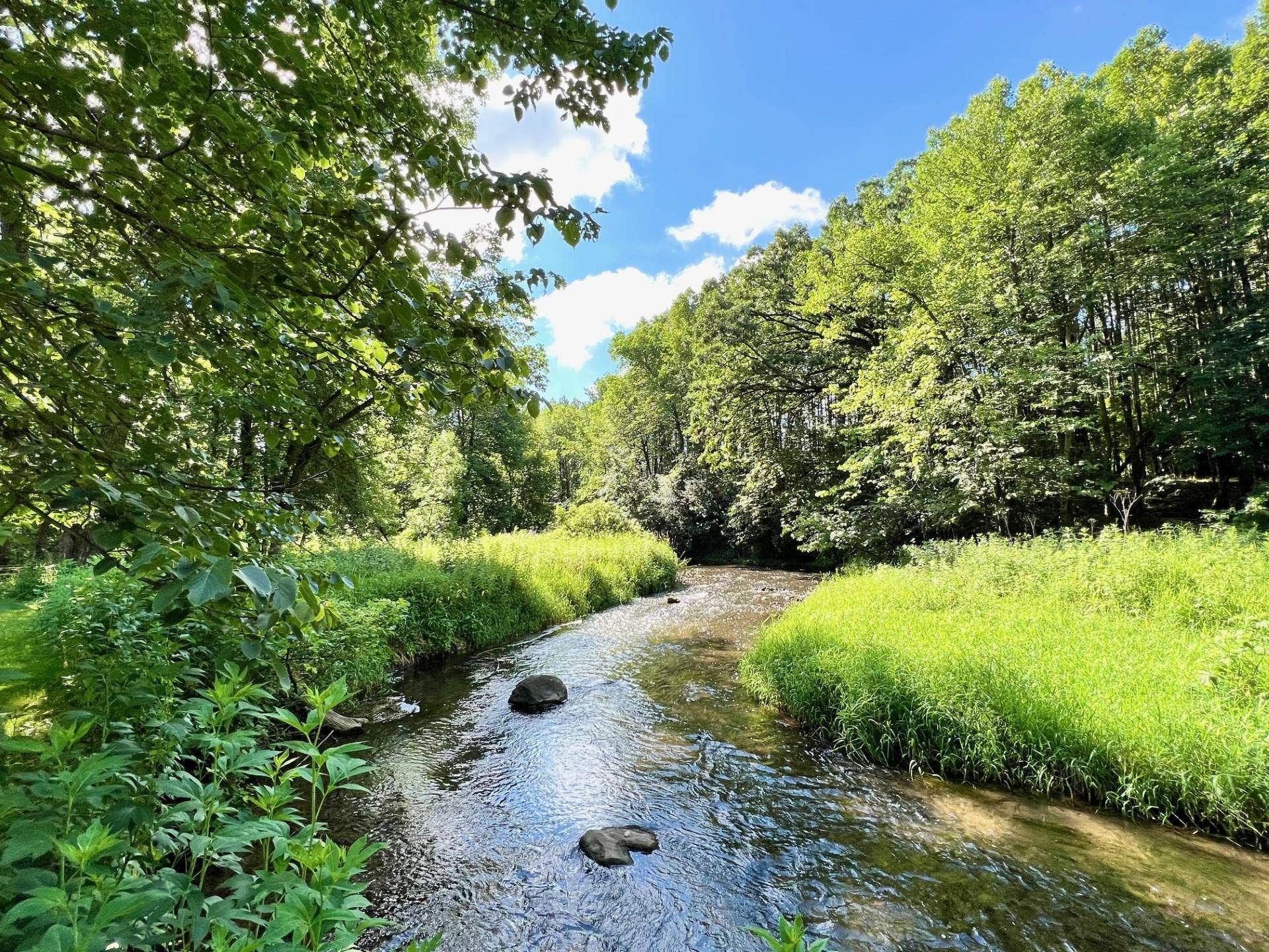 4751 Bellflower Drive, Deforest, WI 53532