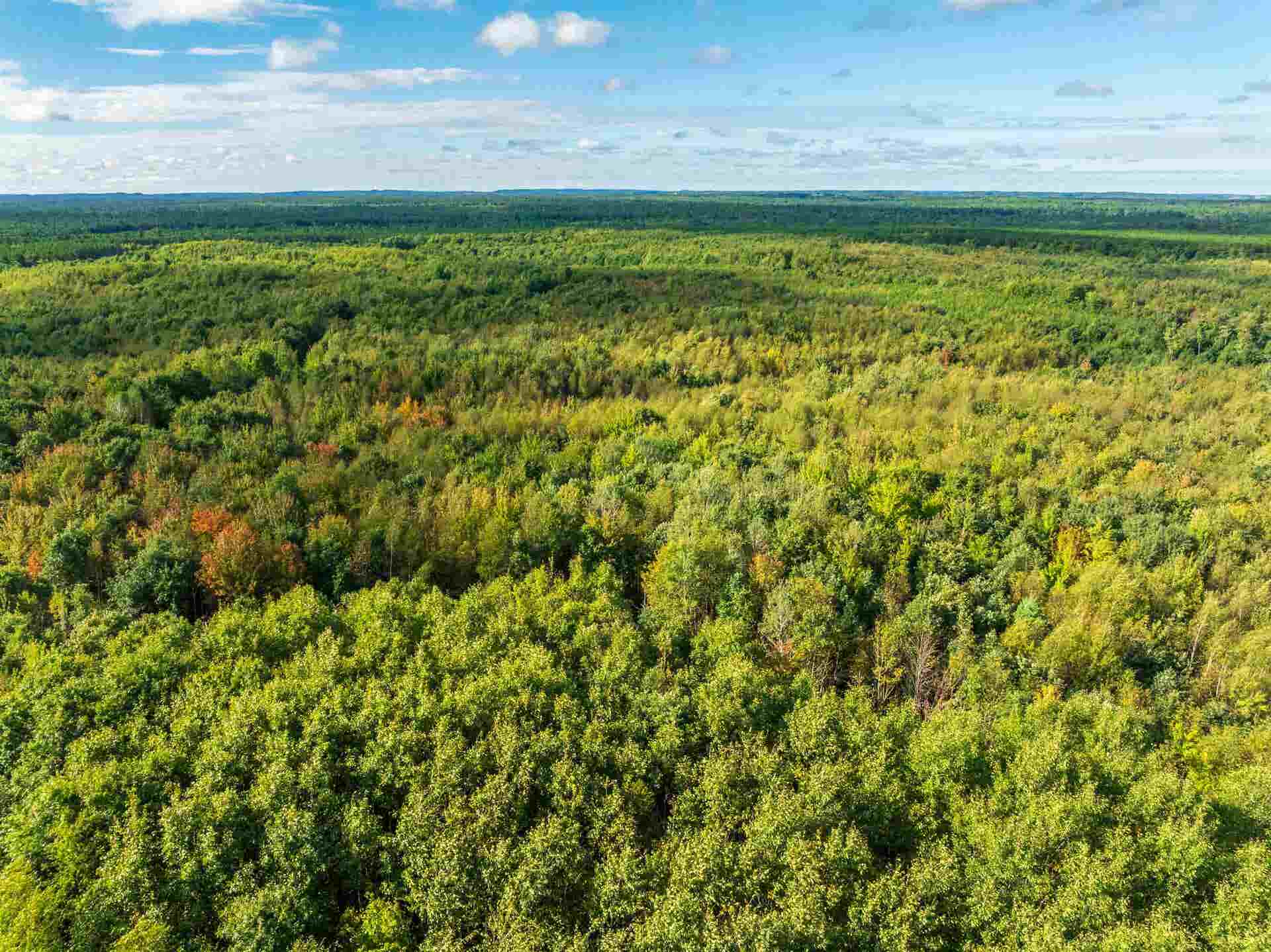 204.74 AC Channey Rd Acres, Bridge Creek, WI 54729