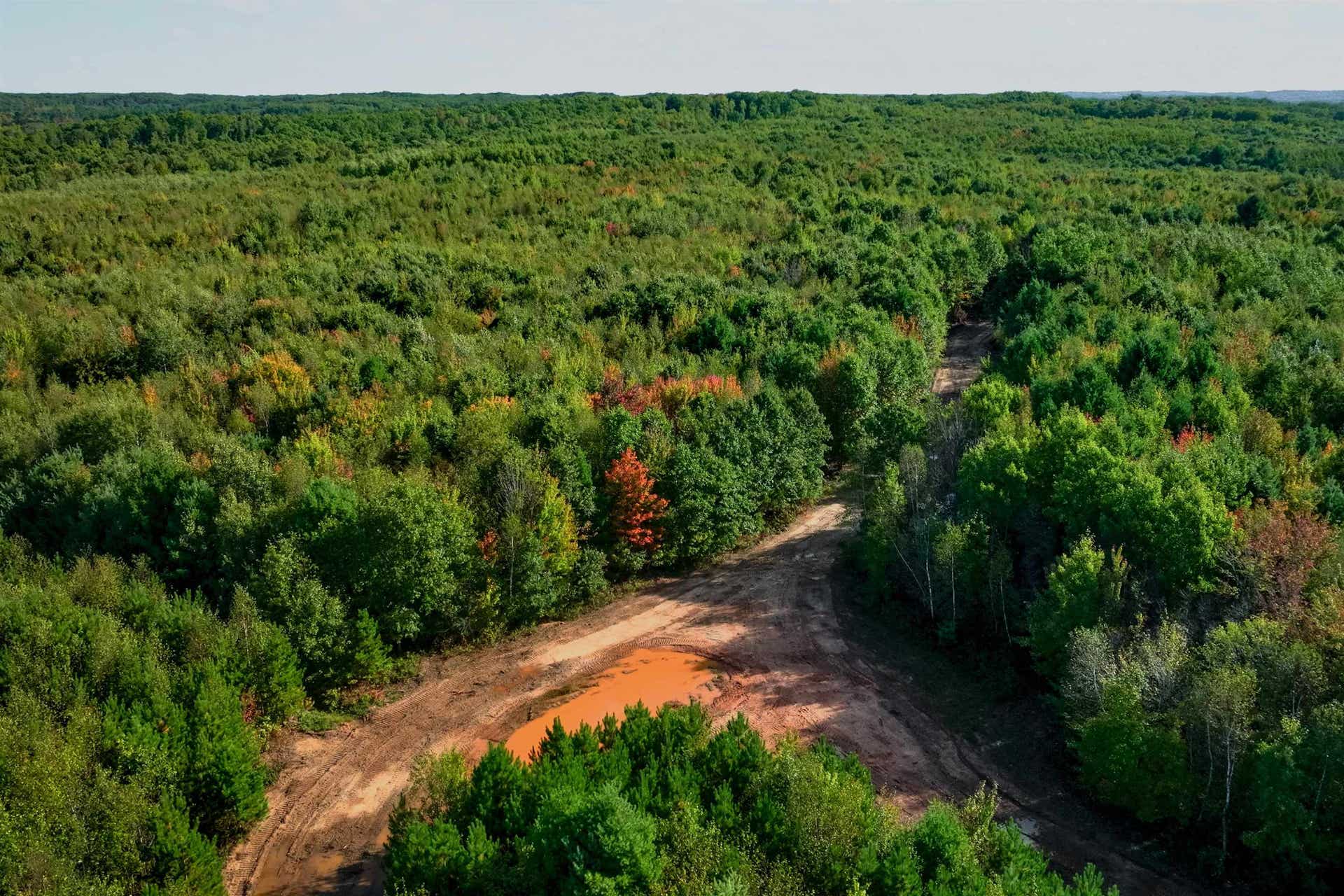 204.74 AC Channey Rd Acres, Bridge Creek, WI 54729
