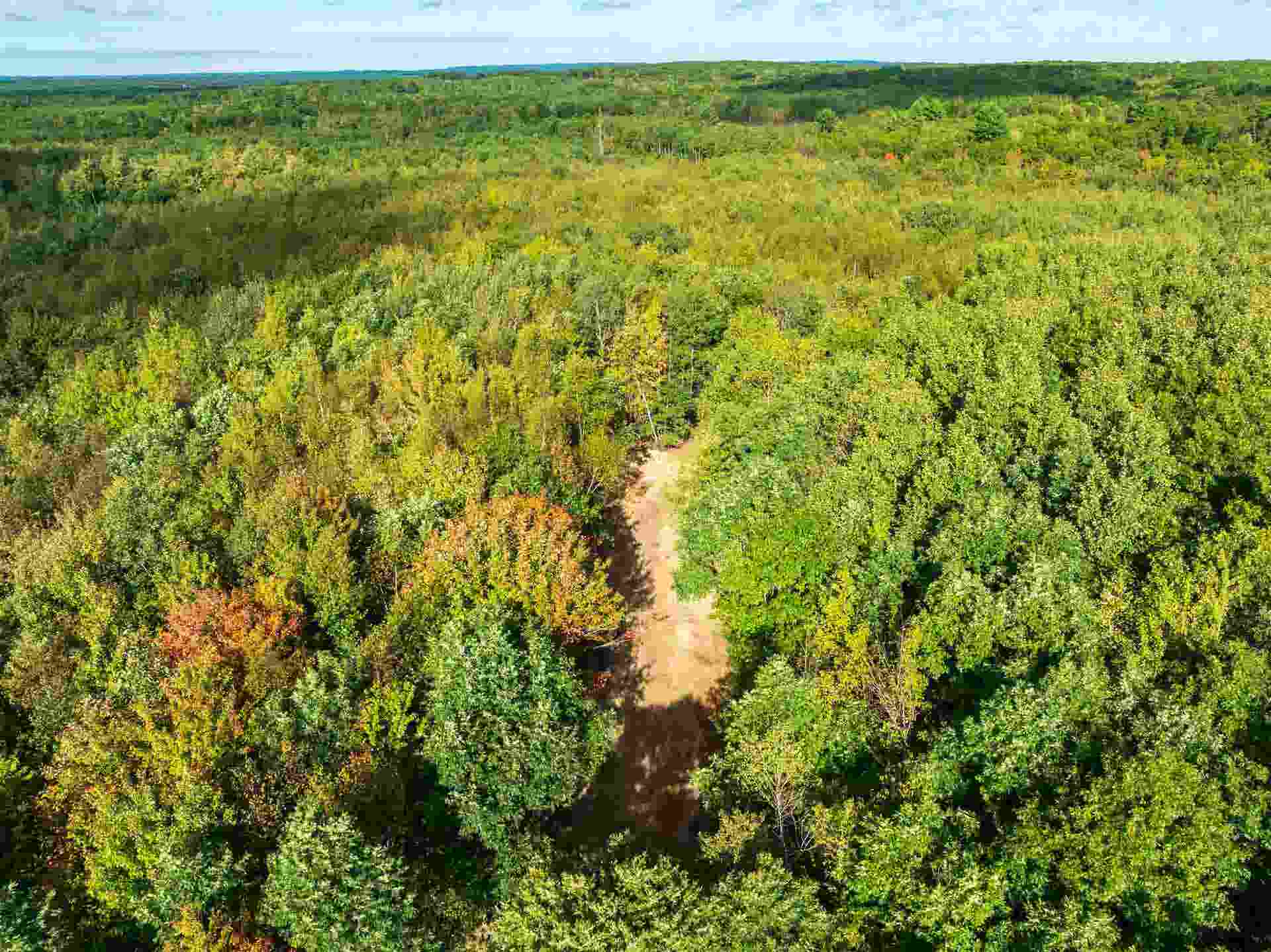 204.74 AC Channey Rd Acres, Bridge Creek, WI 54729