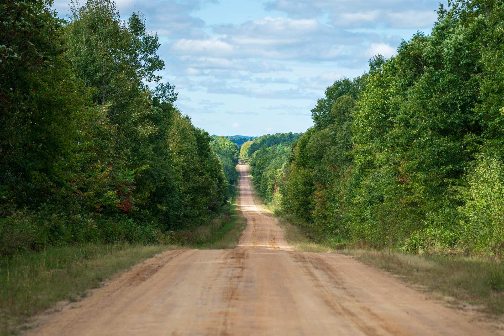 204.74 AC Channey Rd Acres, Bridge Creek, WI 54729