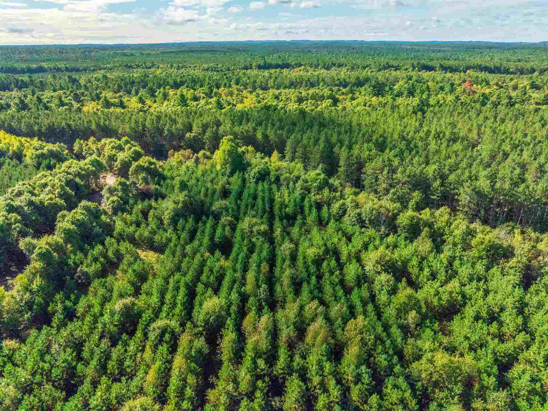 204.74 AC Channey Rd Acres, Bridge Creek, WI 54729