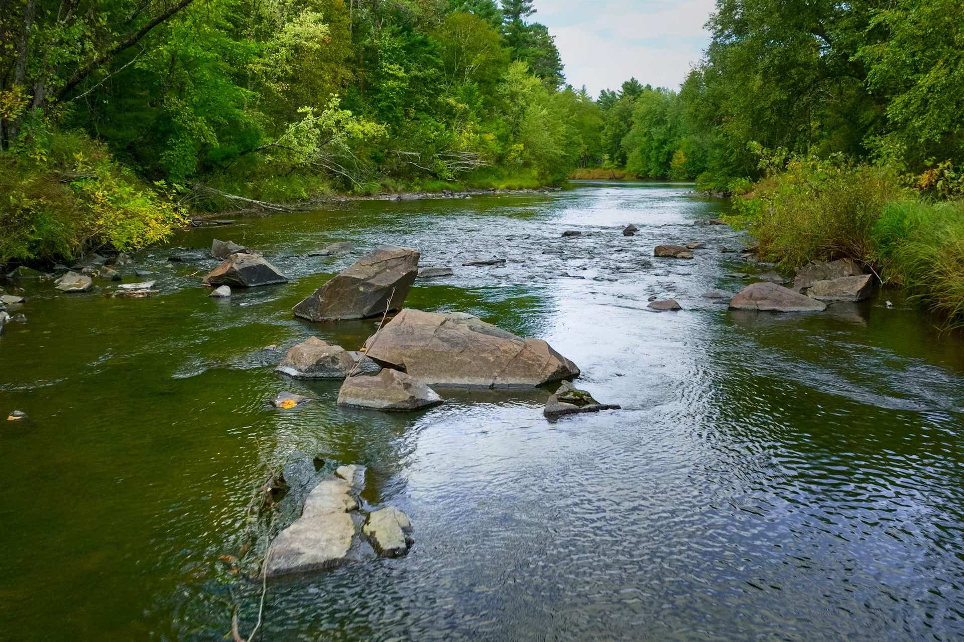 200AC Channey Rd Acres, Bridge Creek, WI 54729