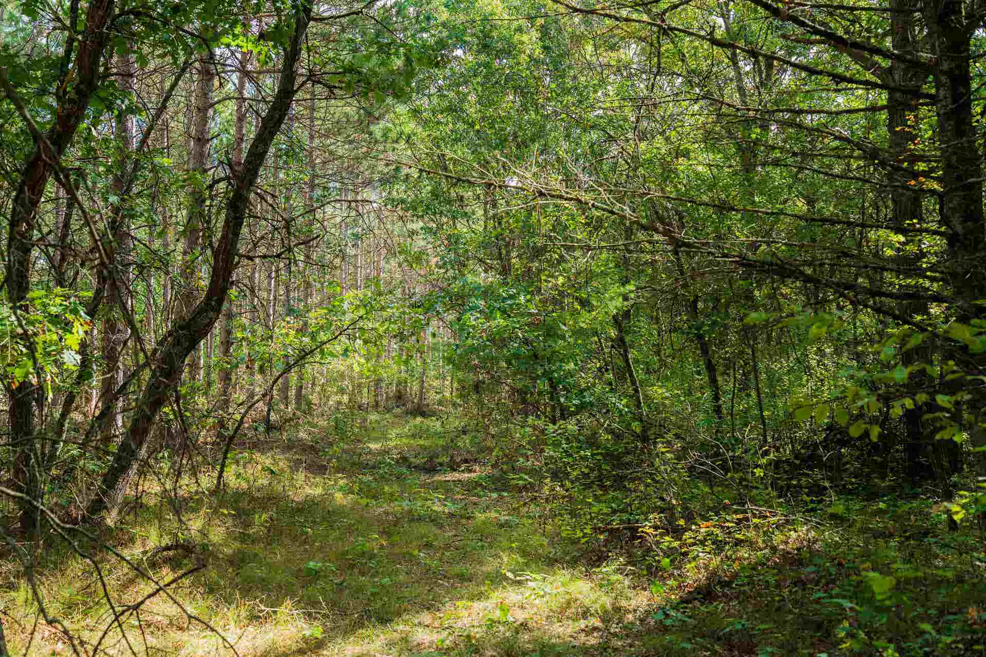 200AC Channey Rd Acres, Bridge Creek, WI 54729