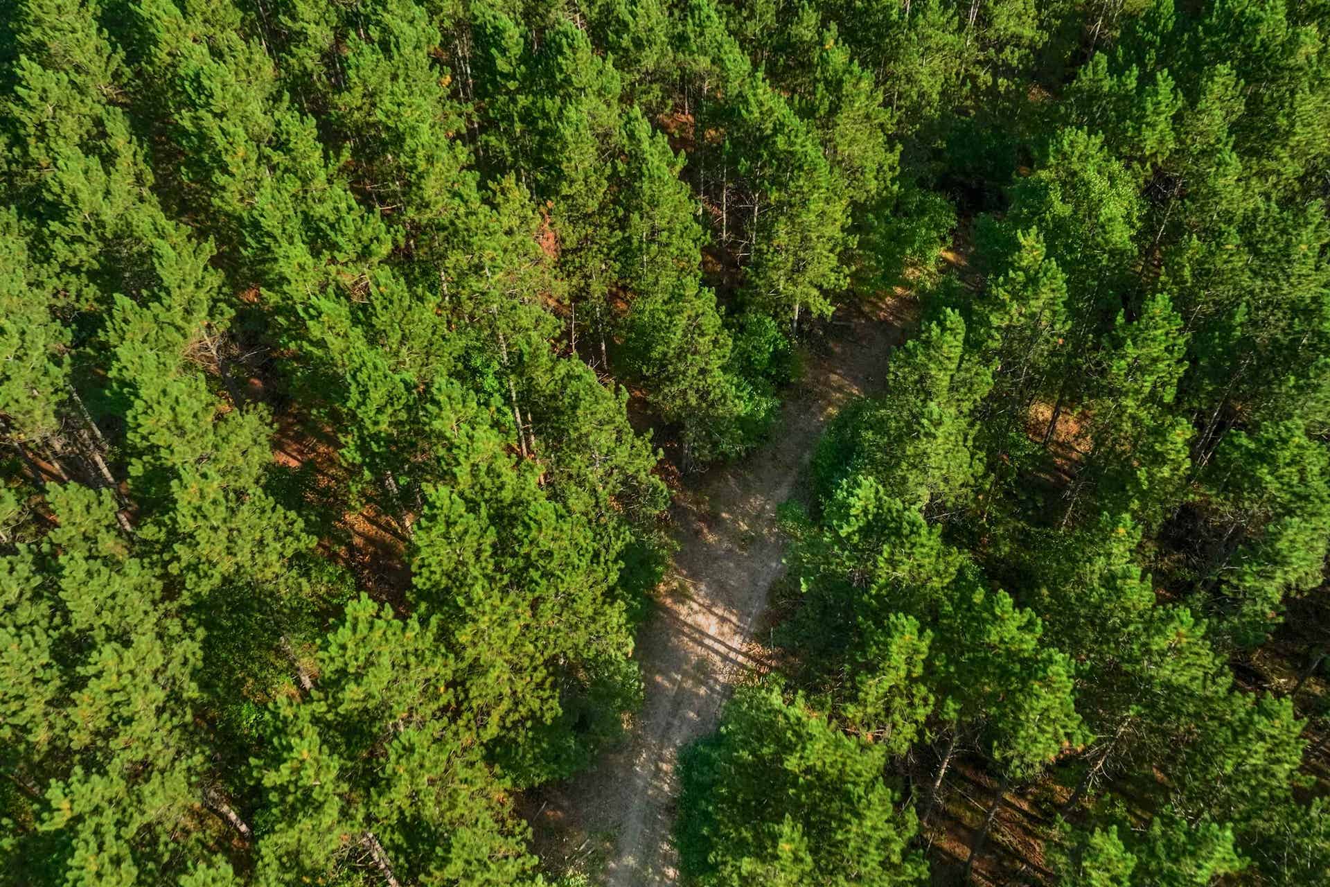 200AC Channey Rd Acres, Bridge Creek, WI 54729