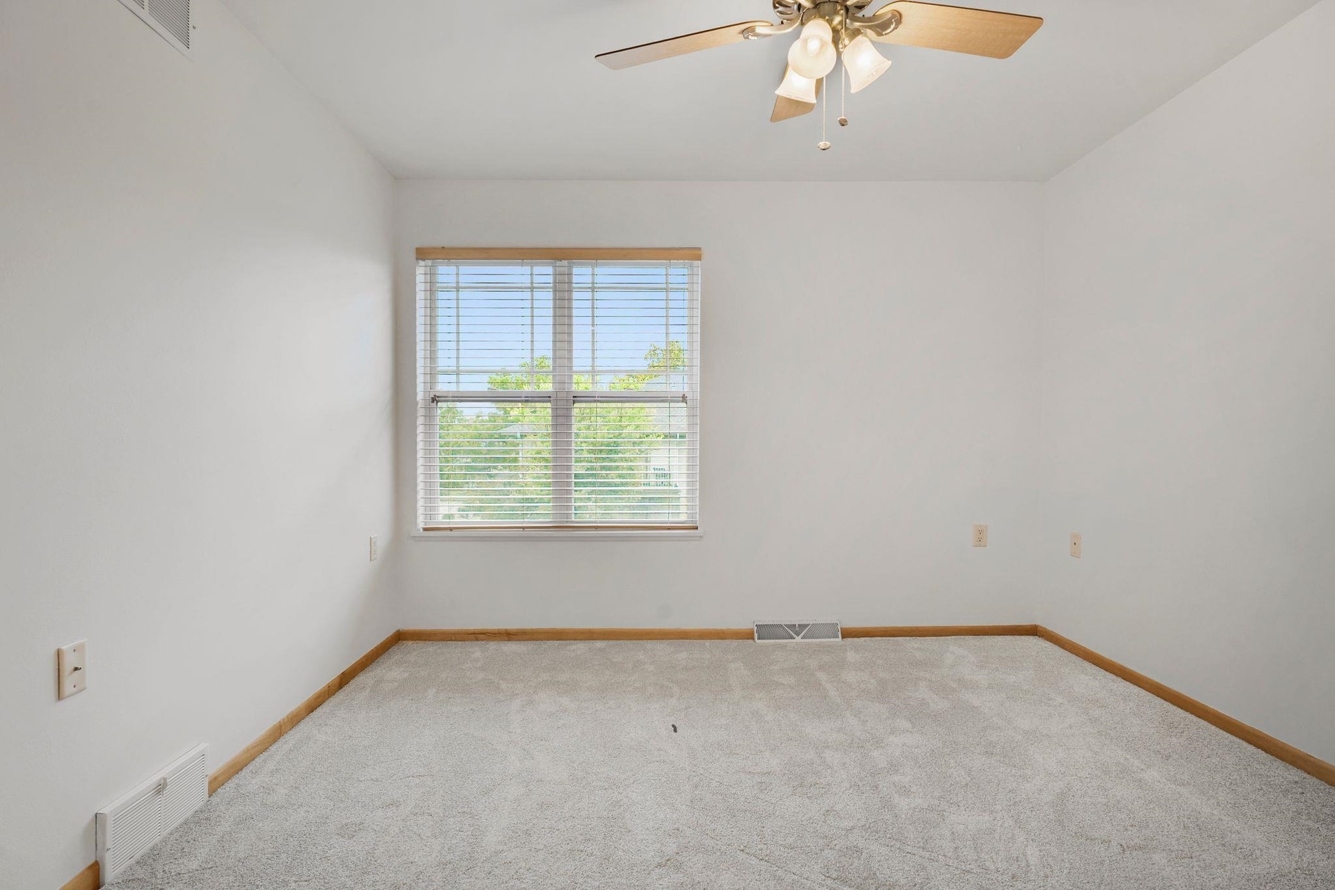 8243 Starr Grass Drive, Madison, WI 53719