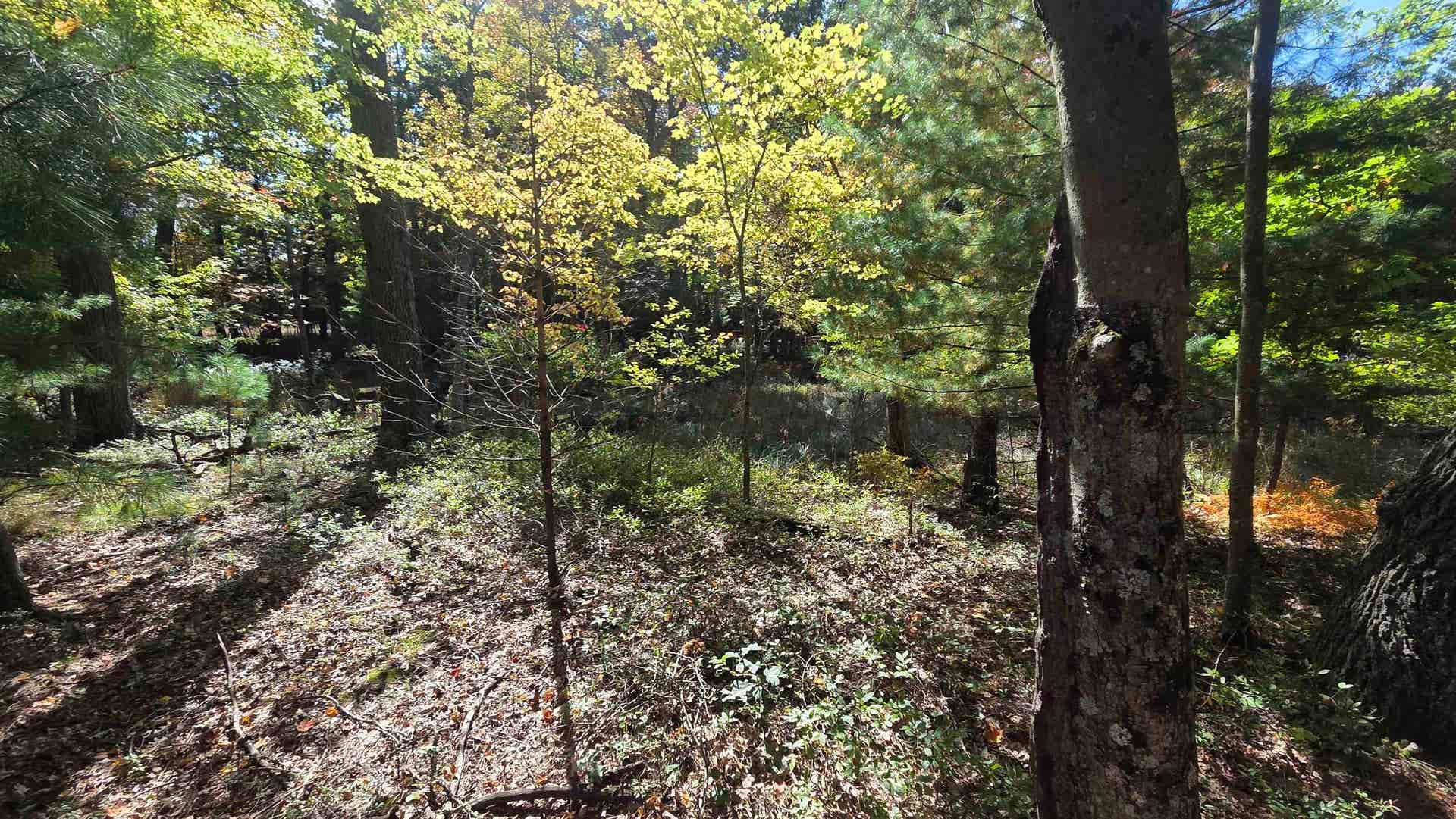 Cty Rd Z Road, Newton, WI 53964