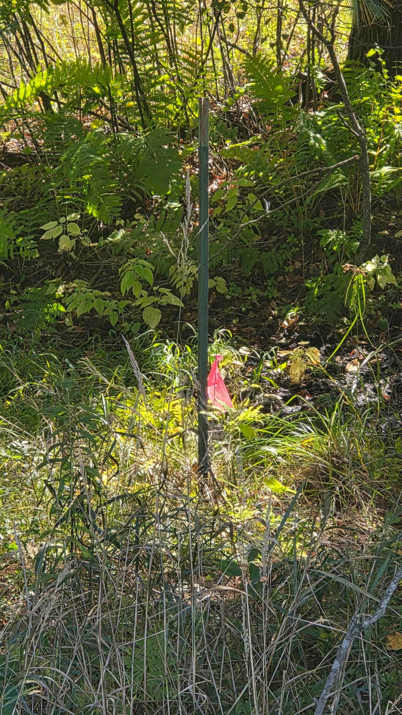 Cty Rd Z Road, Newton, WI 53964