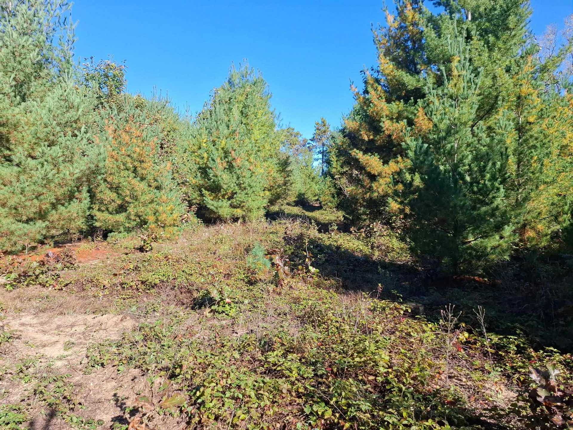 L.20 & 21 Timber Trail, Spring Green, WI 53588