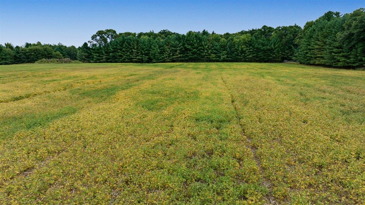 121 Acres County Hwy Et, Byron, WI 54660