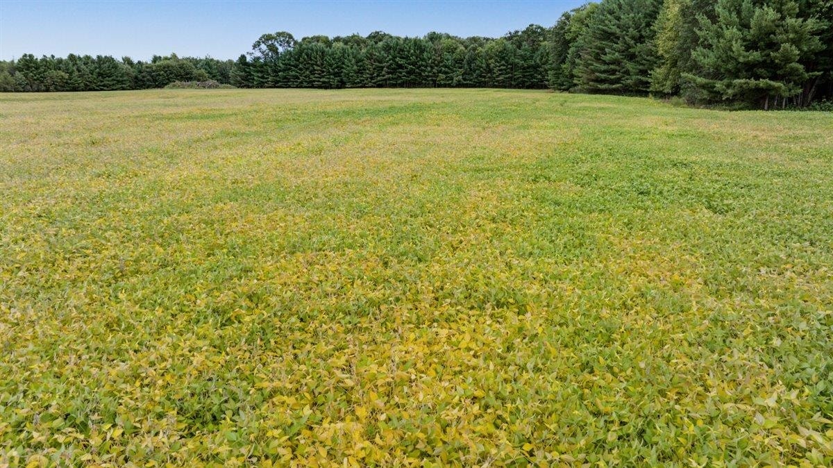 121 Acres County Hwy Et, Byron, WI 54660