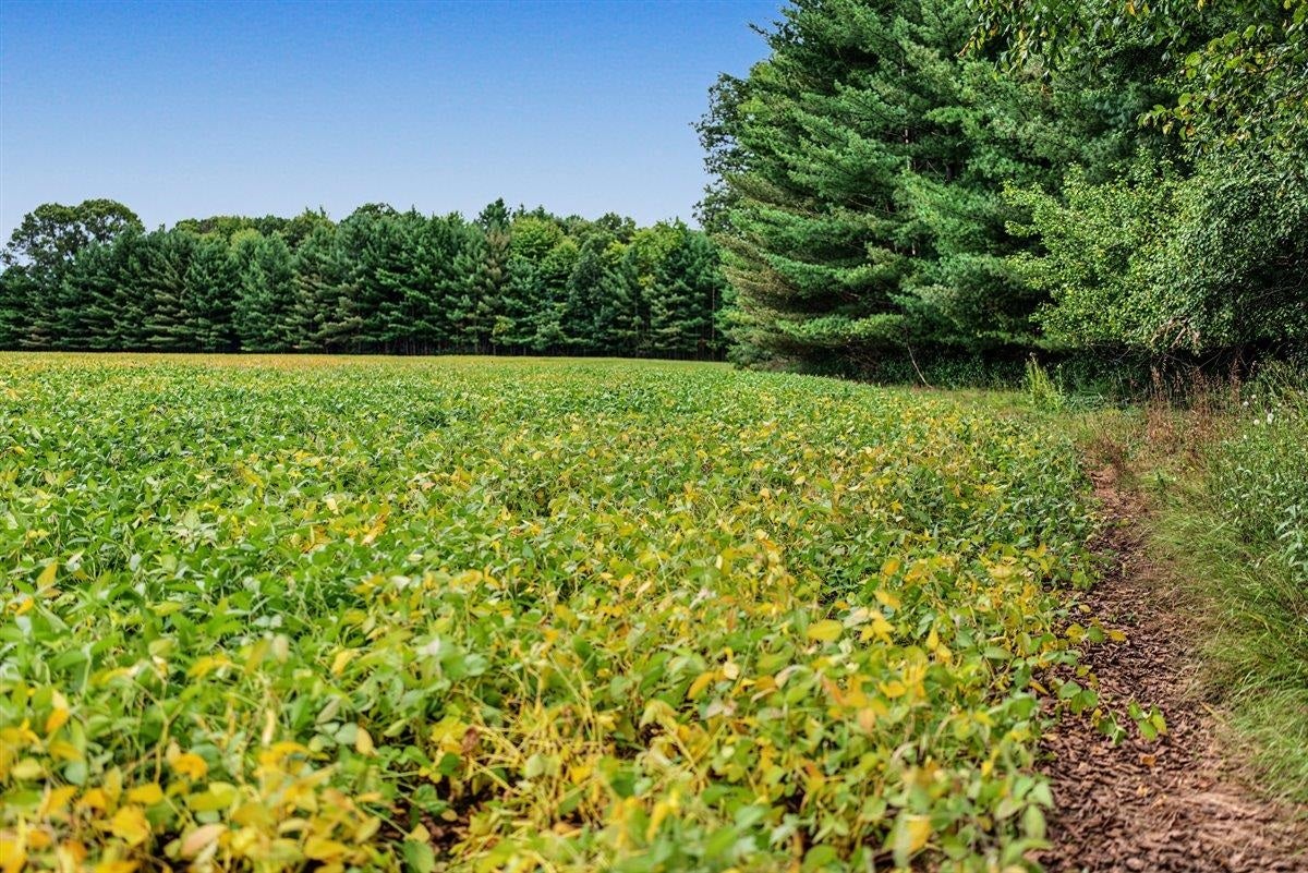 121 Acres County Hwy Et, Byron, WI 54660