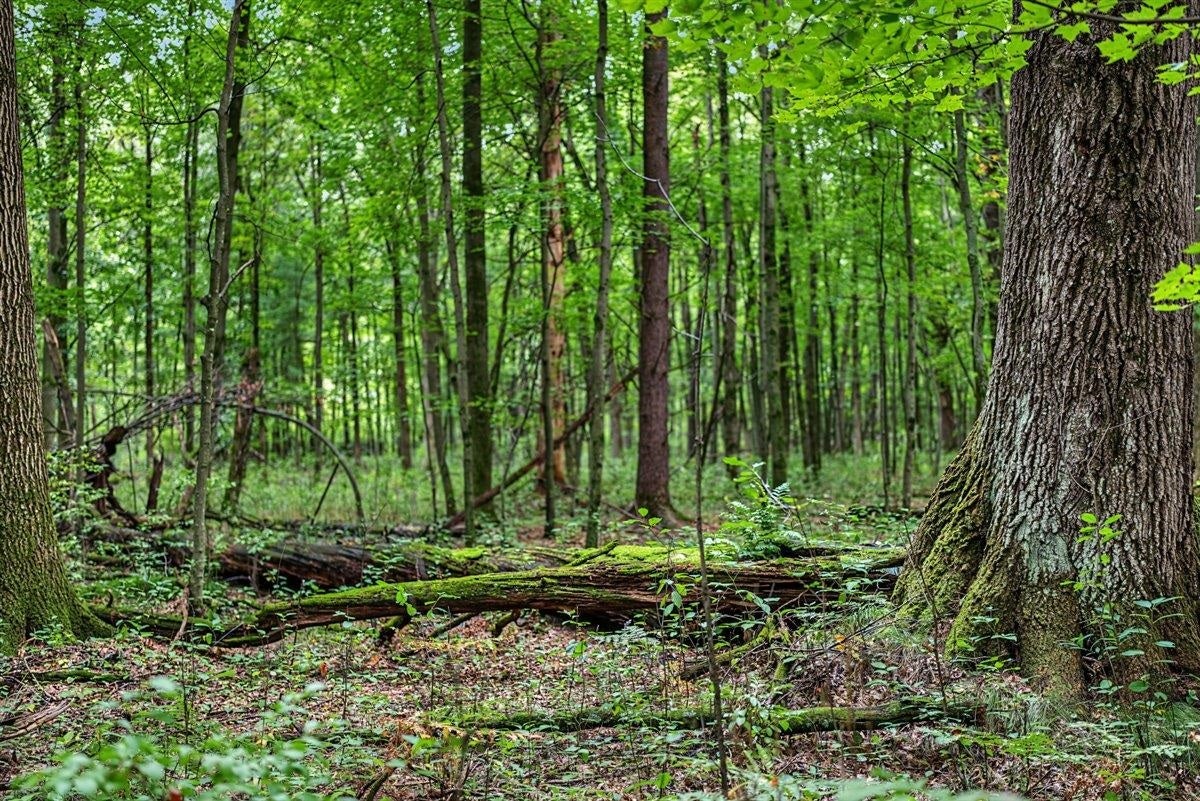 121 Acres County Hwy Et, Byron, WI 54660