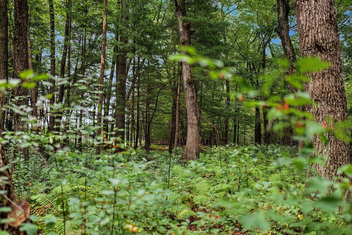121 Acres County Hwy Et, Byron, WI 54660