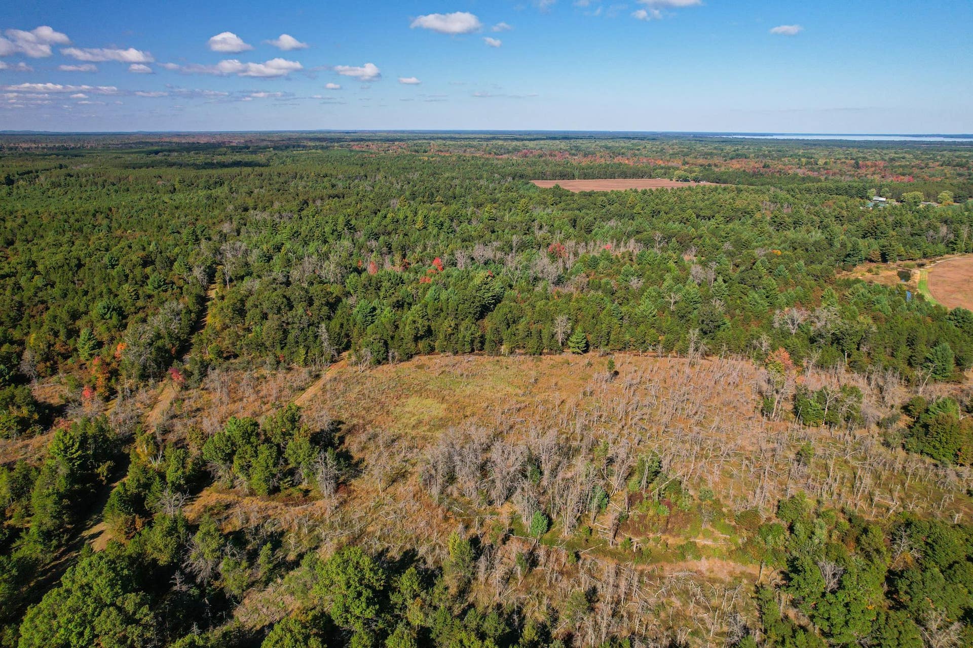 Lot 1 W 19th Street, Necedah, WI 54646