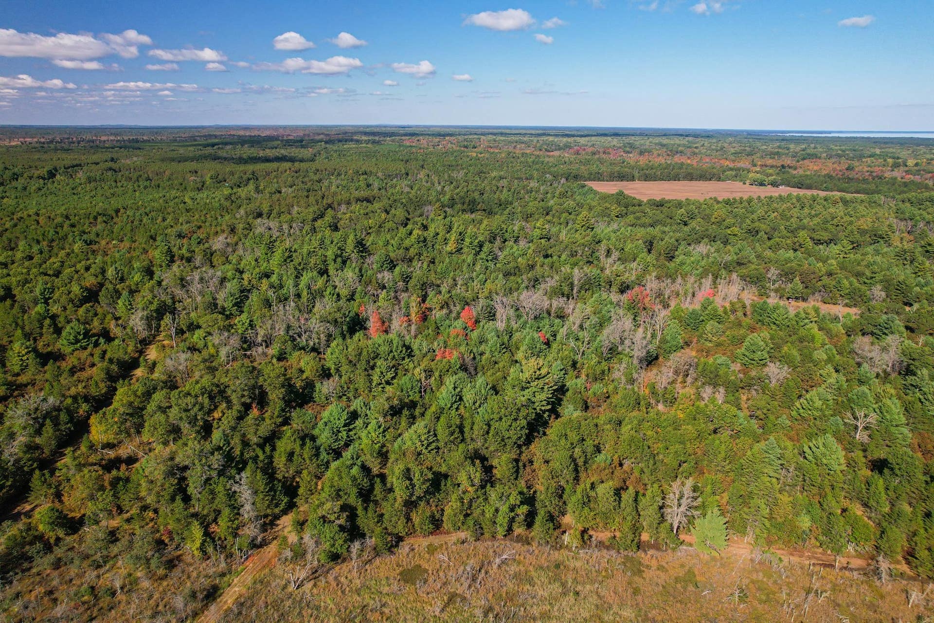 Lot 1 W 19th Street, Necedah, WI 54646
