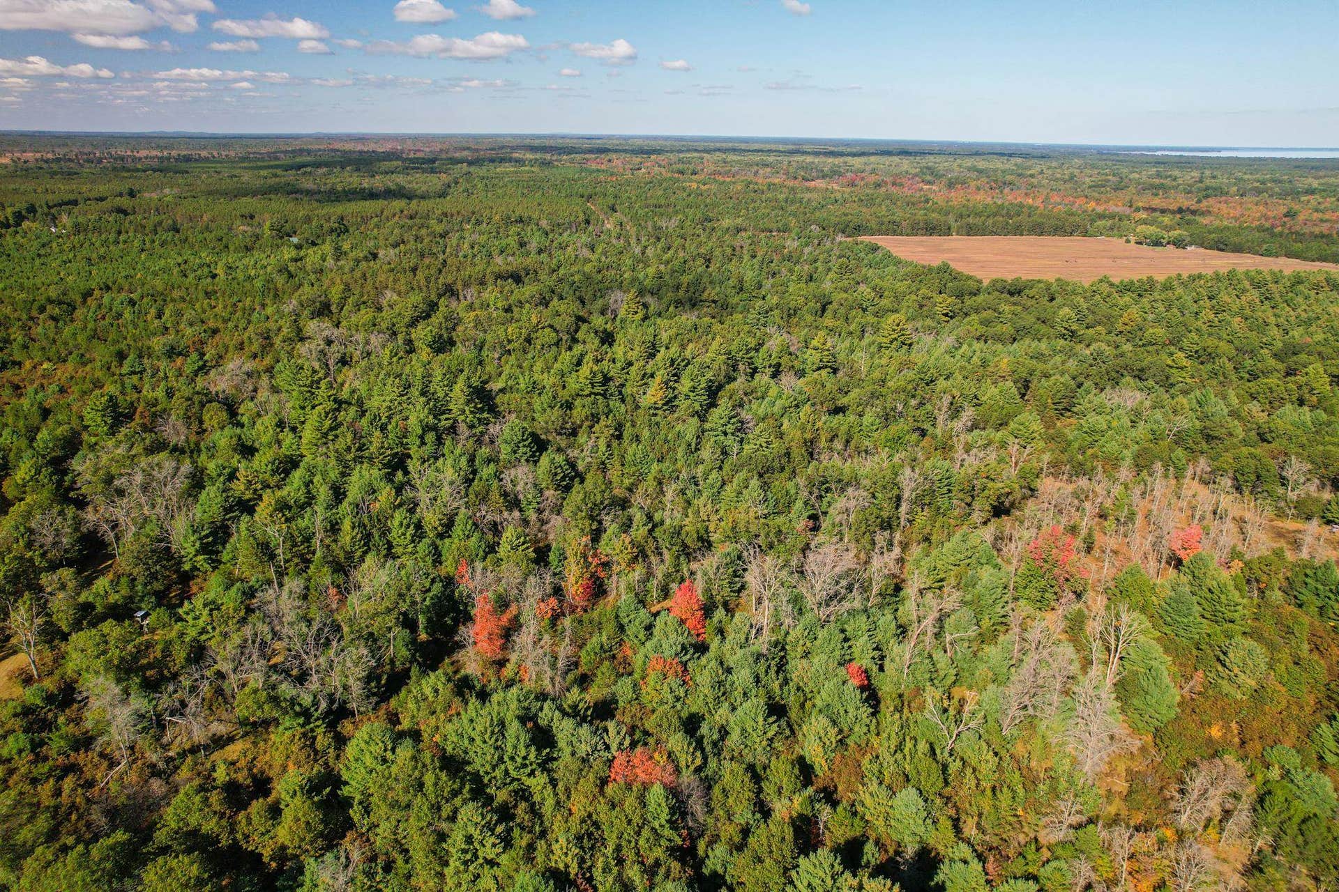 Lot 1 W 19th Street, Necedah, WI 54646
