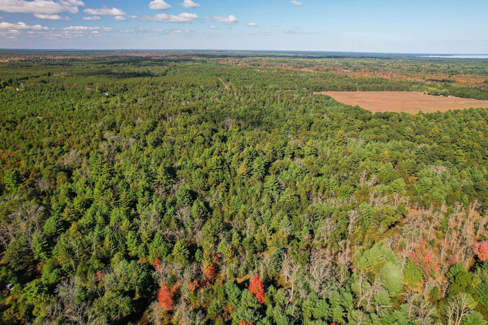Lot 1 W 19th Street, Necedah, WI 54646