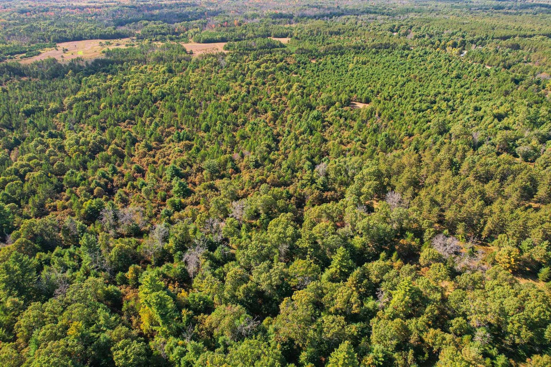 Lot 1 W 19th Street, Necedah, WI 54646