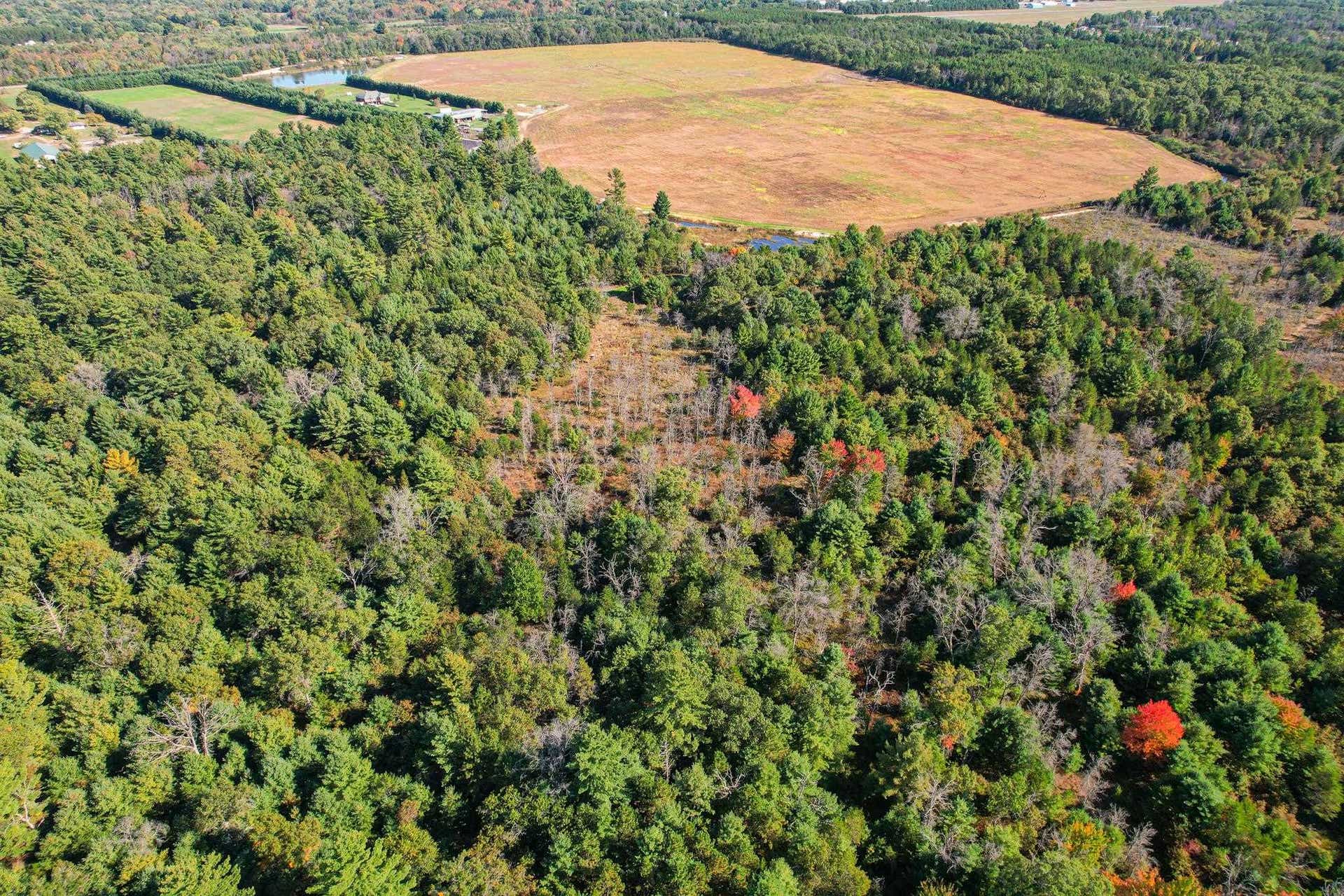 Lot 1 W 19th Street, Necedah, WI 54646
