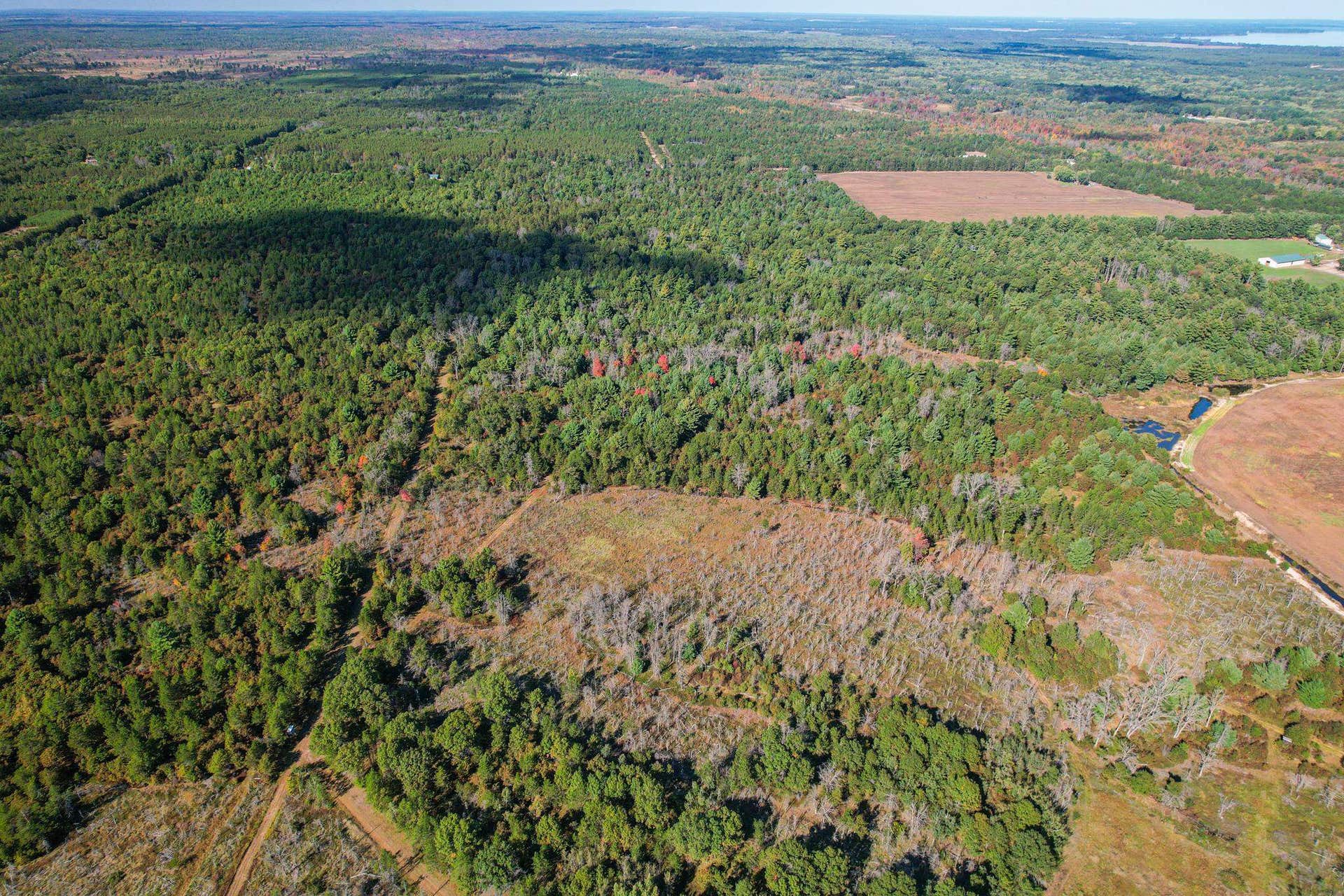 Lot 1 W 19th Street, Necedah, WI 54646