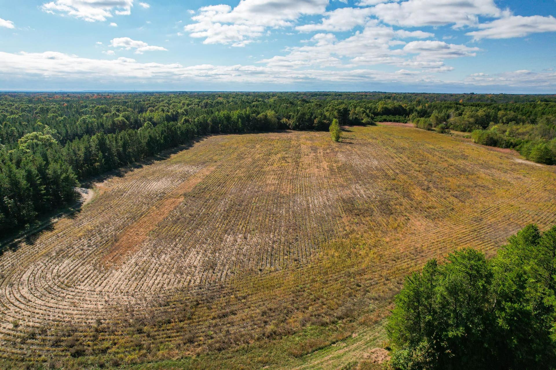 Lot 1 W 19th Street, Necedah, WI 54646
