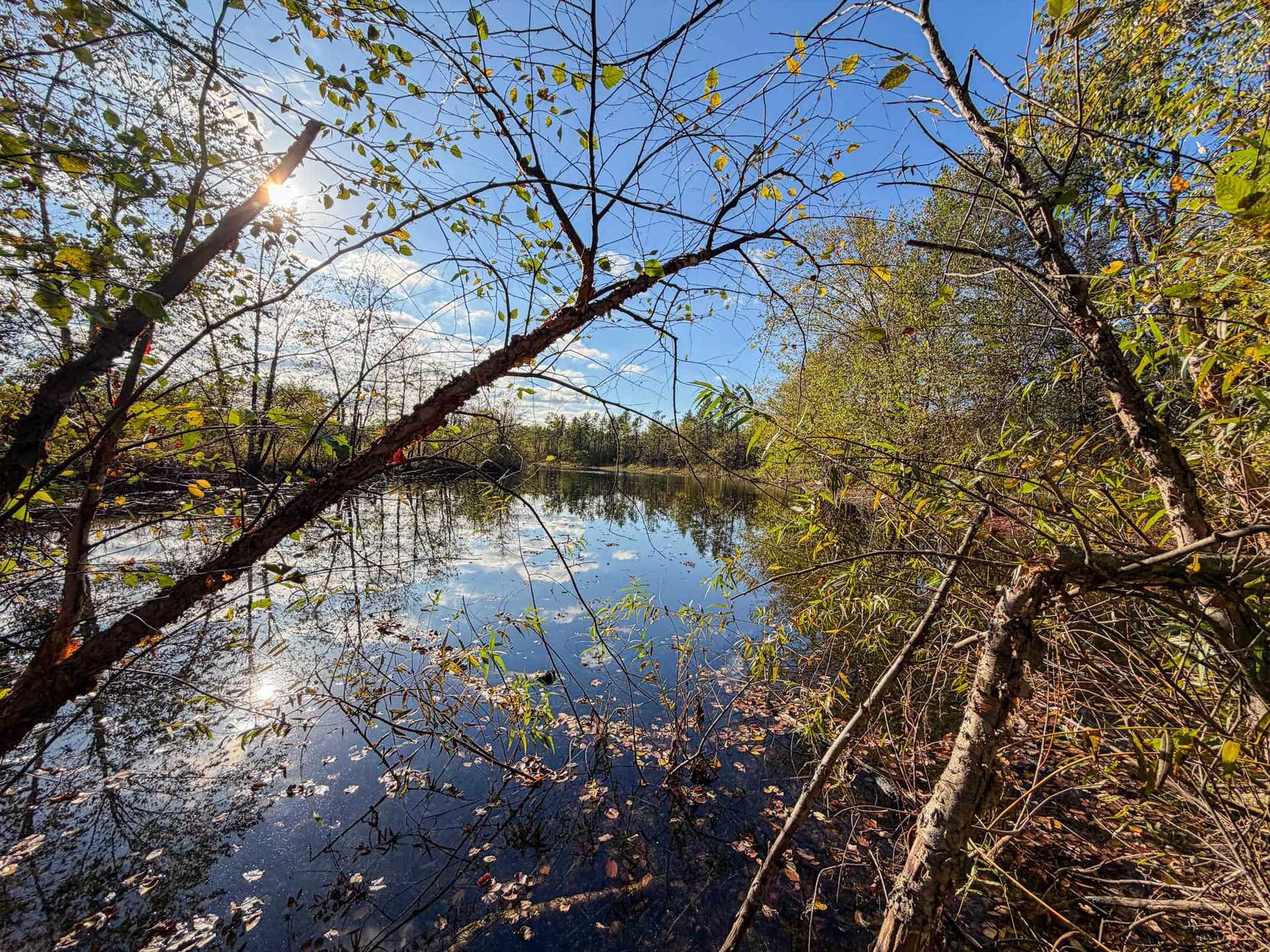 Lot 1 W 19th Street, Necedah, WI 54646
