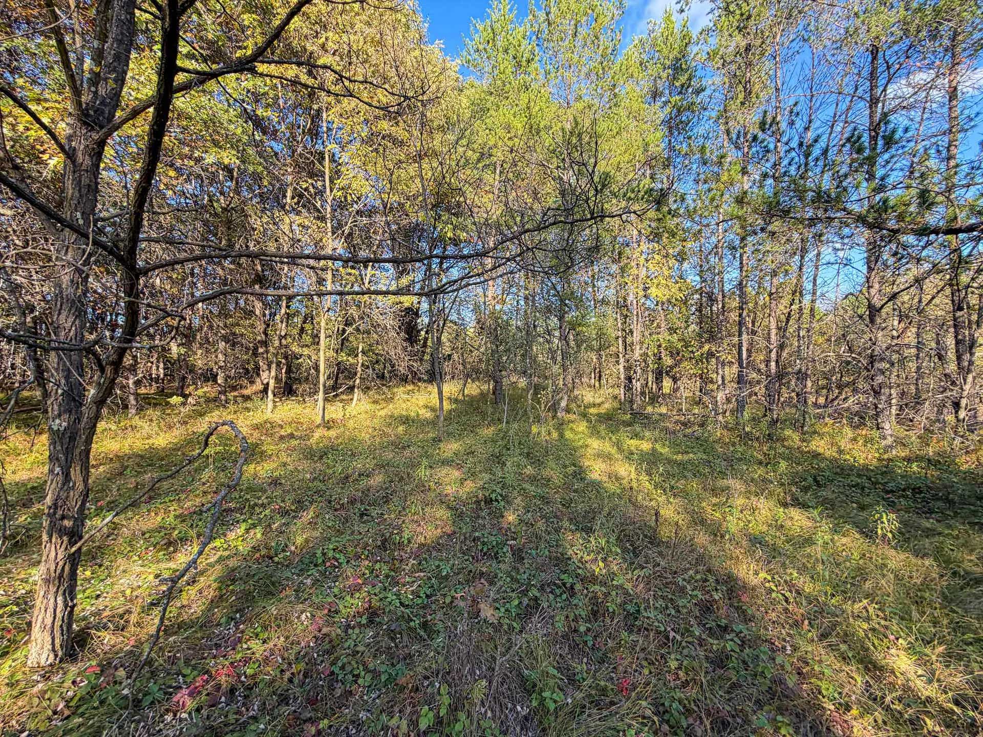 Lot 1 W 19th Street, Necedah, WI 54646