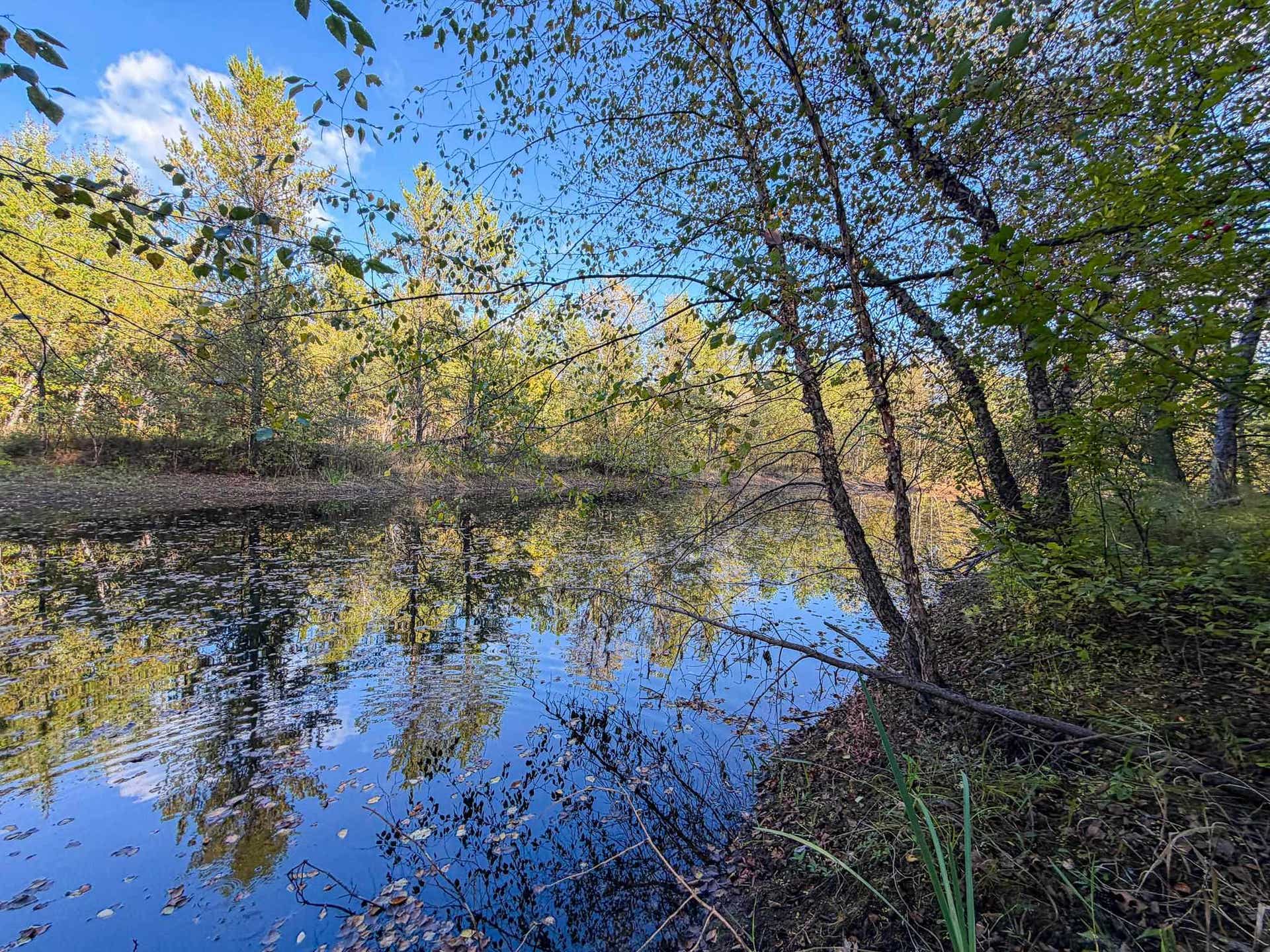 Lot 1 W 19th Street, Necedah, WI 54646