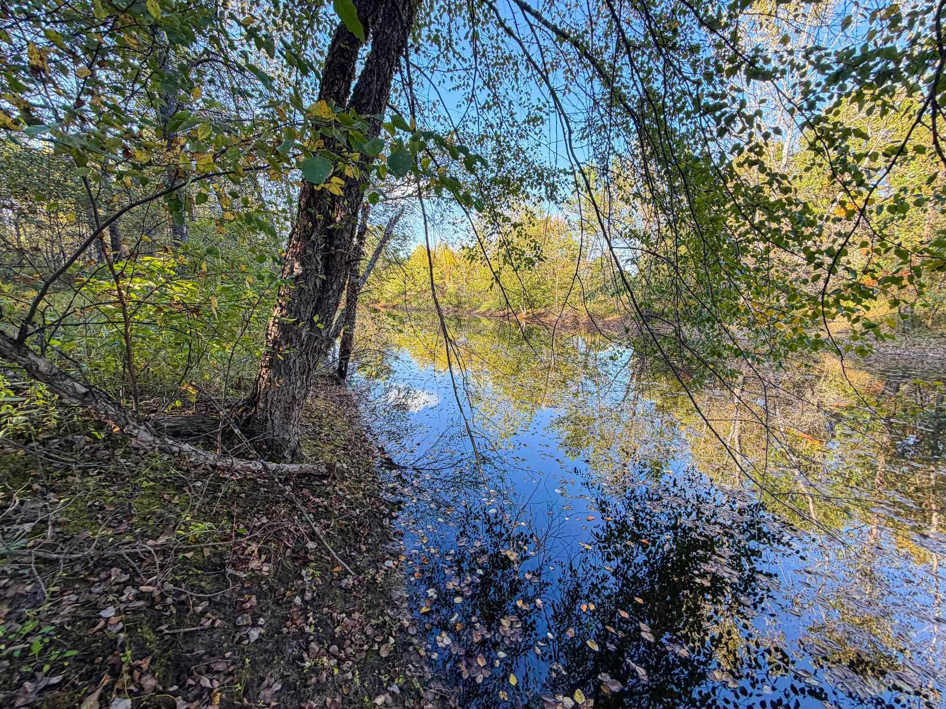 Lot 1 W 19th Street, Necedah, WI 54646