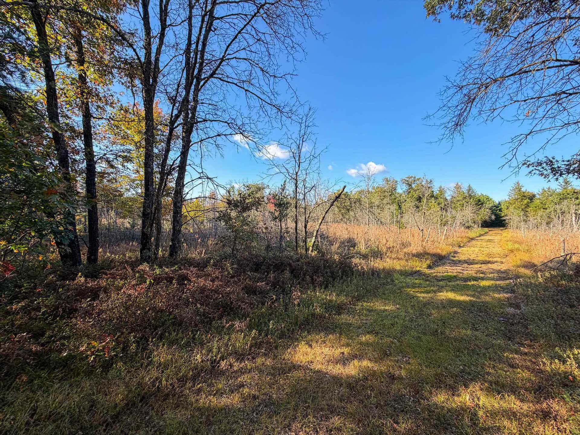 Lot 1 W 19th Street, Necedah, WI 54646