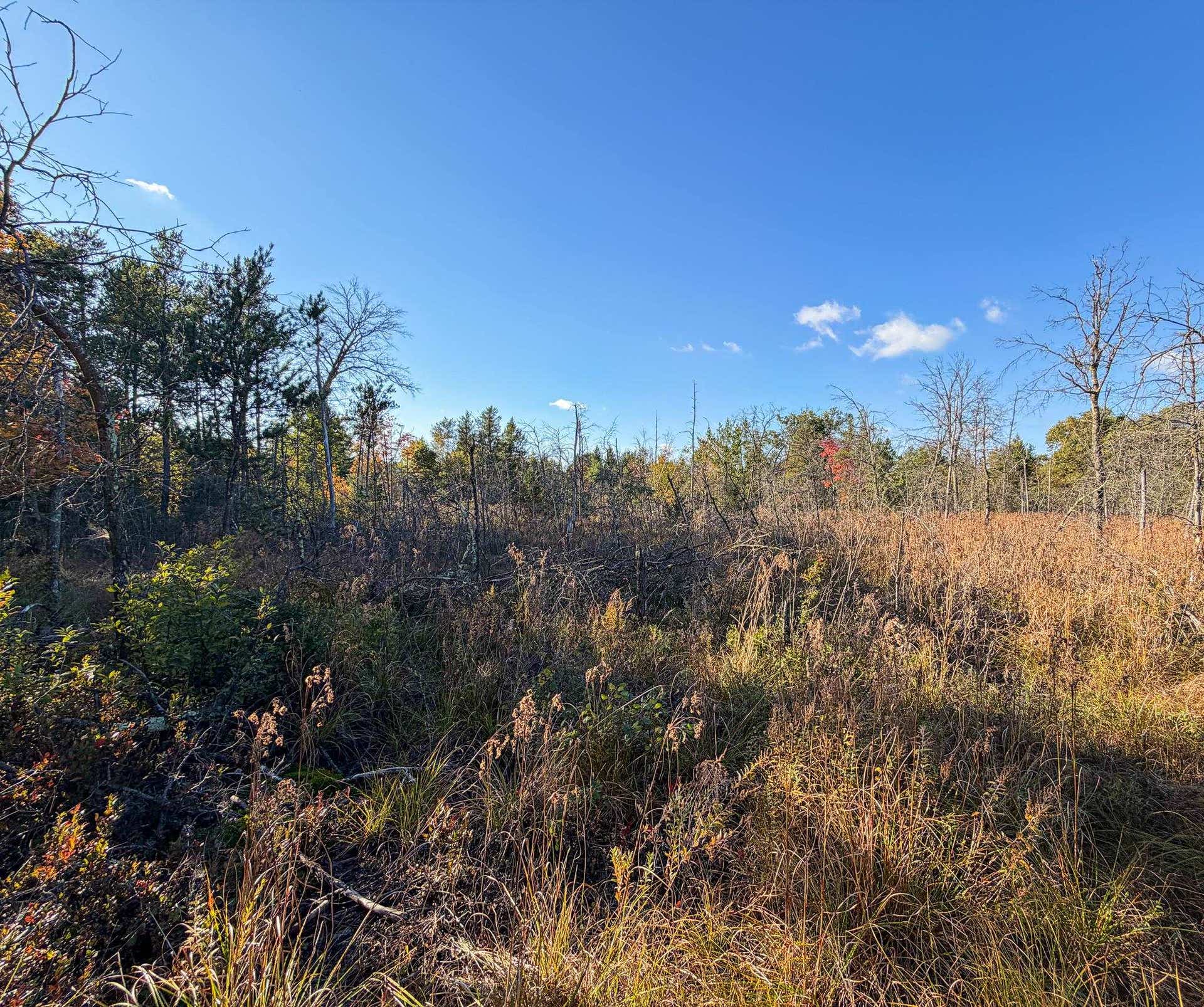Lot 1 W 19th Street, Necedah, WI 54646