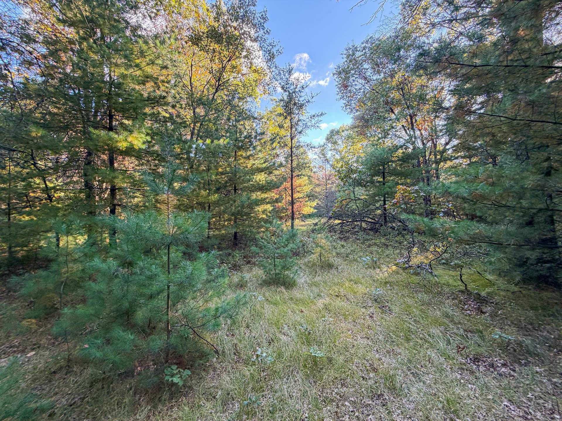 Lot 1 W 19th Street, Necedah, WI 54646