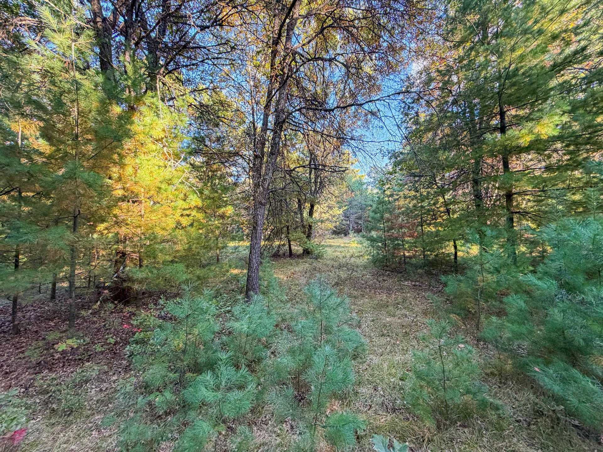 Lot 1 W 19th Street, Necedah, WI 54646