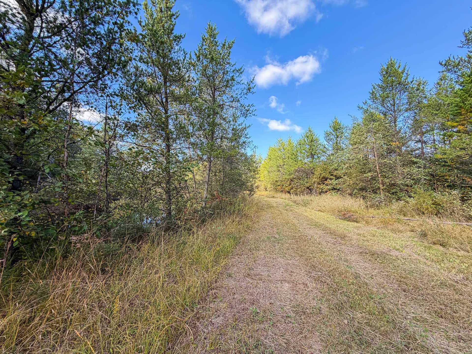 Lot 2 W 19th Street, Necedah, WI 54646