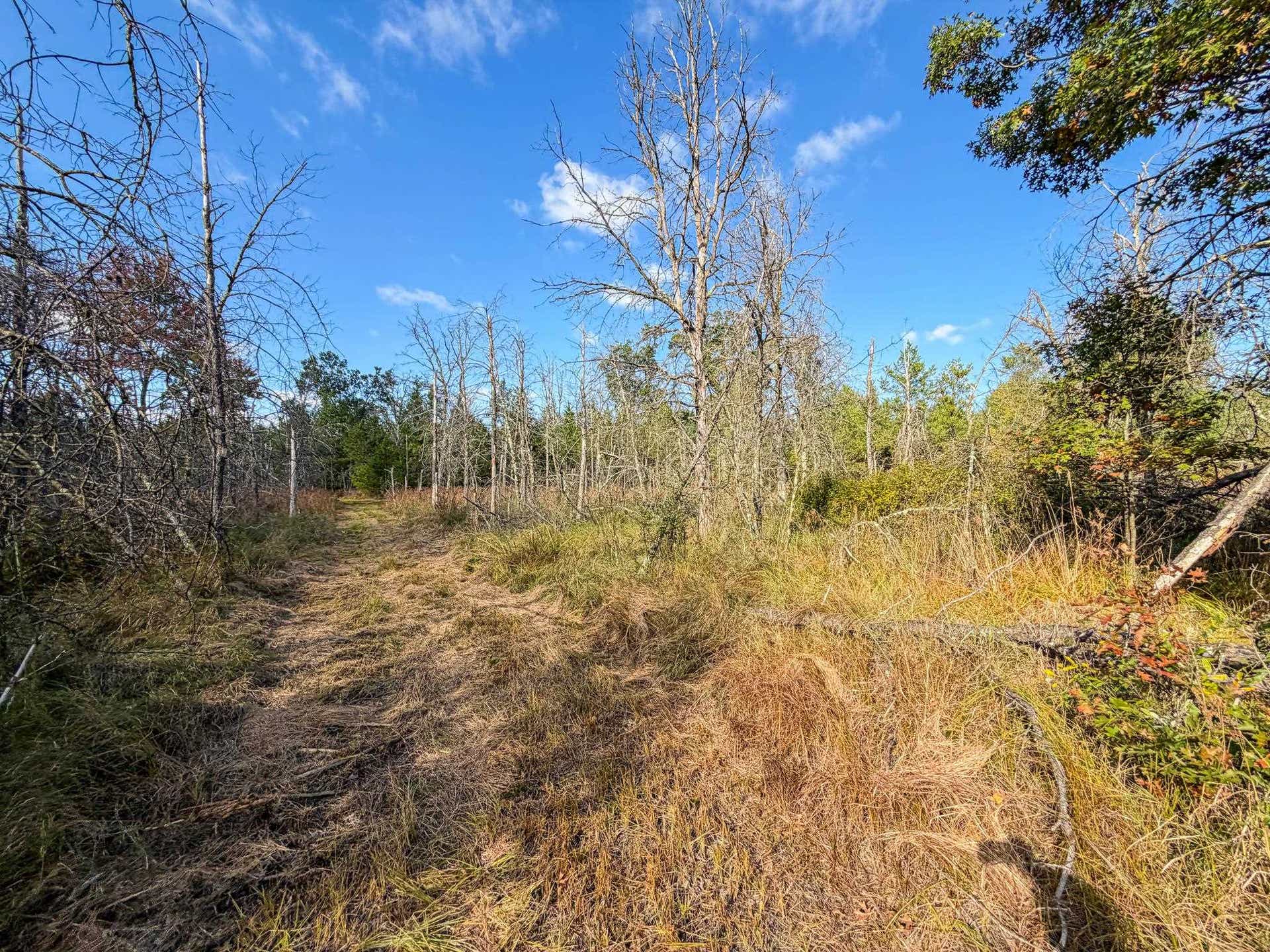 Lot 2 W 19th Street, Necedah, WI 54646
