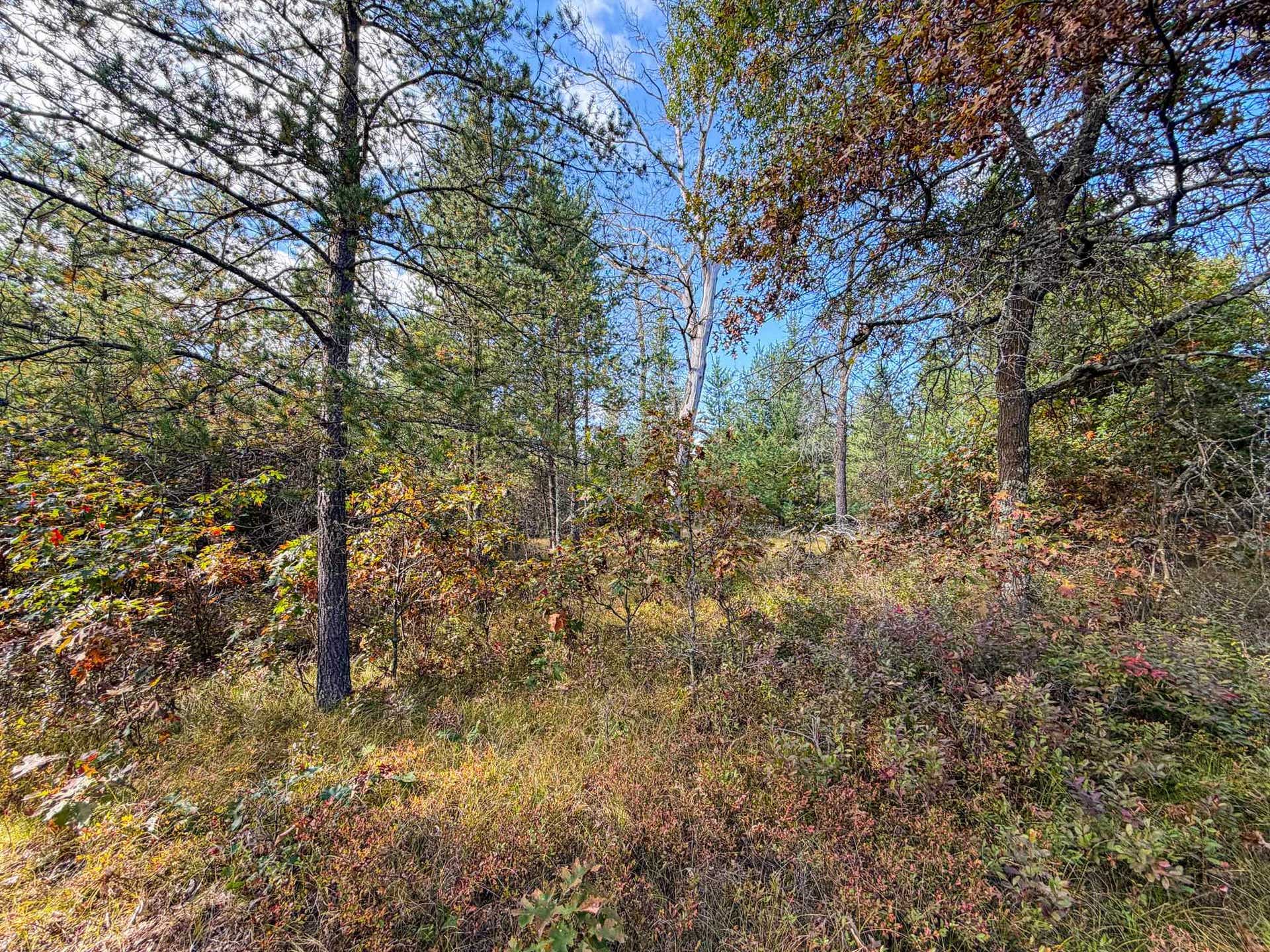 Lot 2 W 19th Street, Necedah, WI 54646