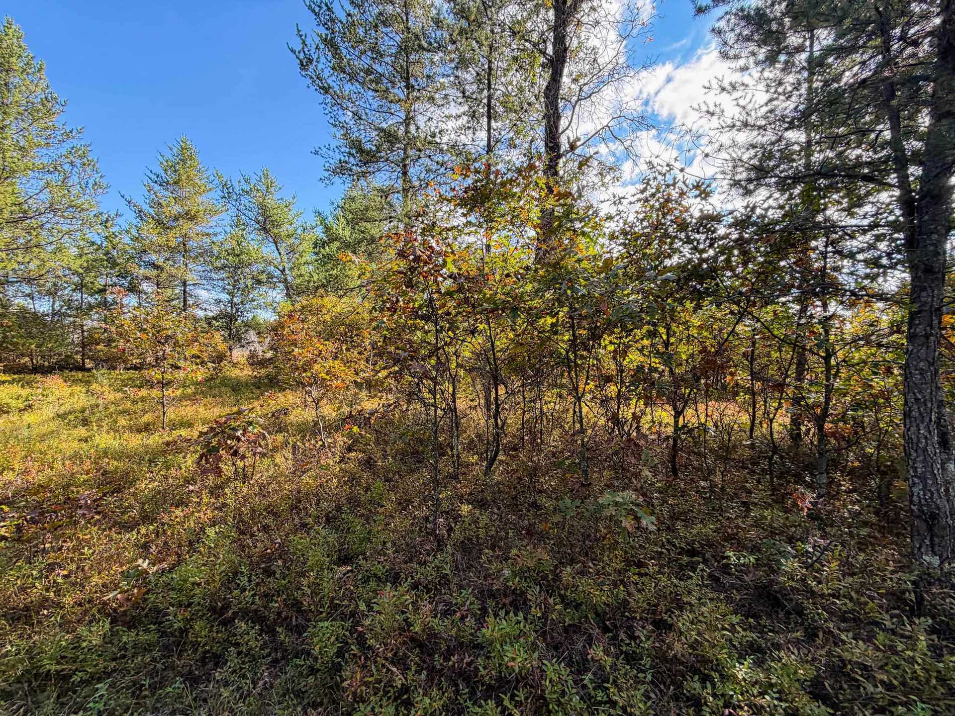 Lot 2 W 19th Street, Necedah, WI 54646