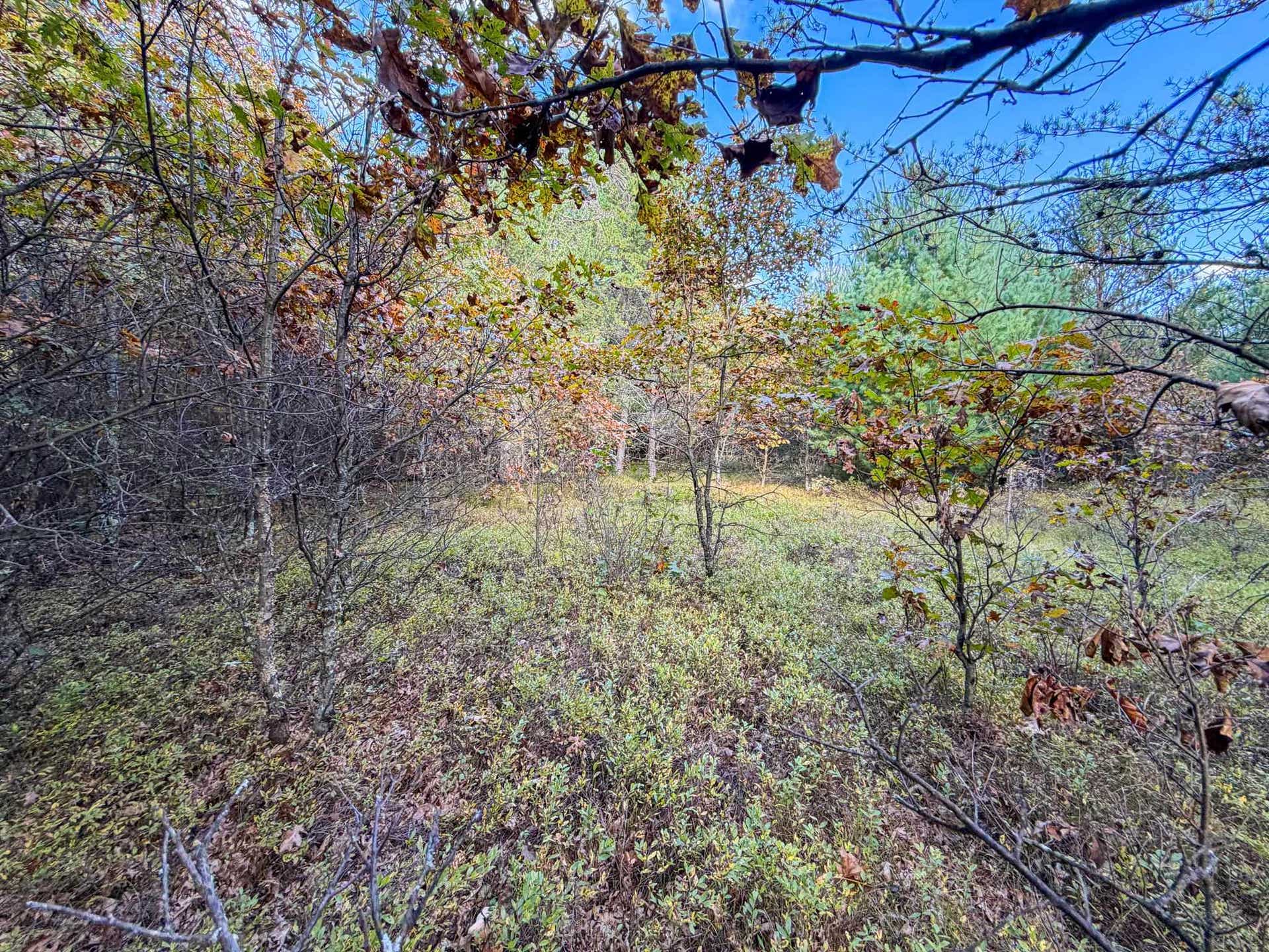 Lot 2 W 19th Street, Necedah, WI 54646