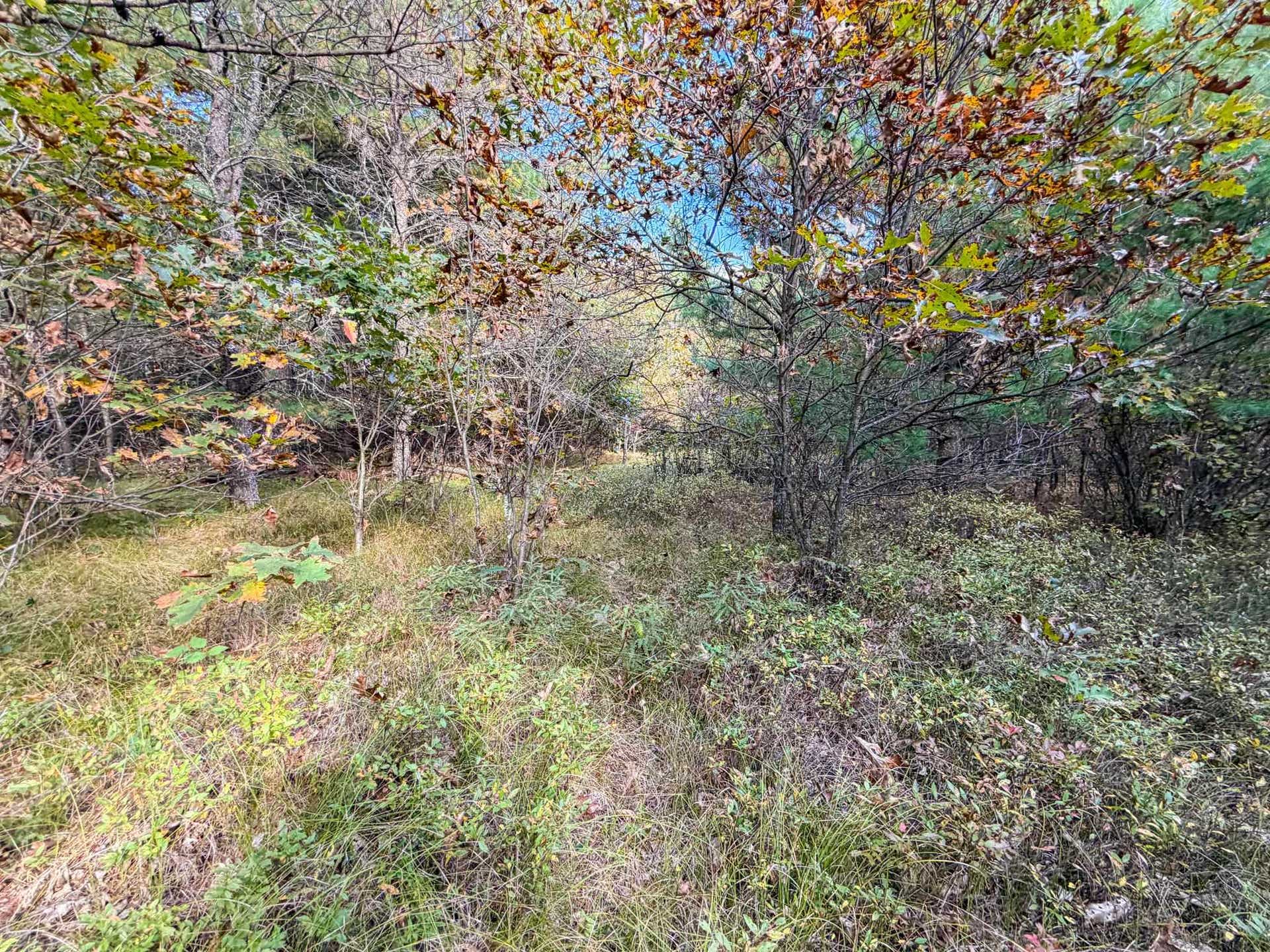 Lot 2 W 19th Street, Necedah, WI 54646