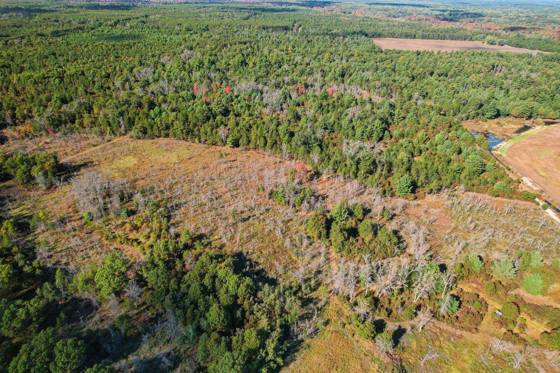 Lot 2 W 19th Street, Necedah, WI 54646
