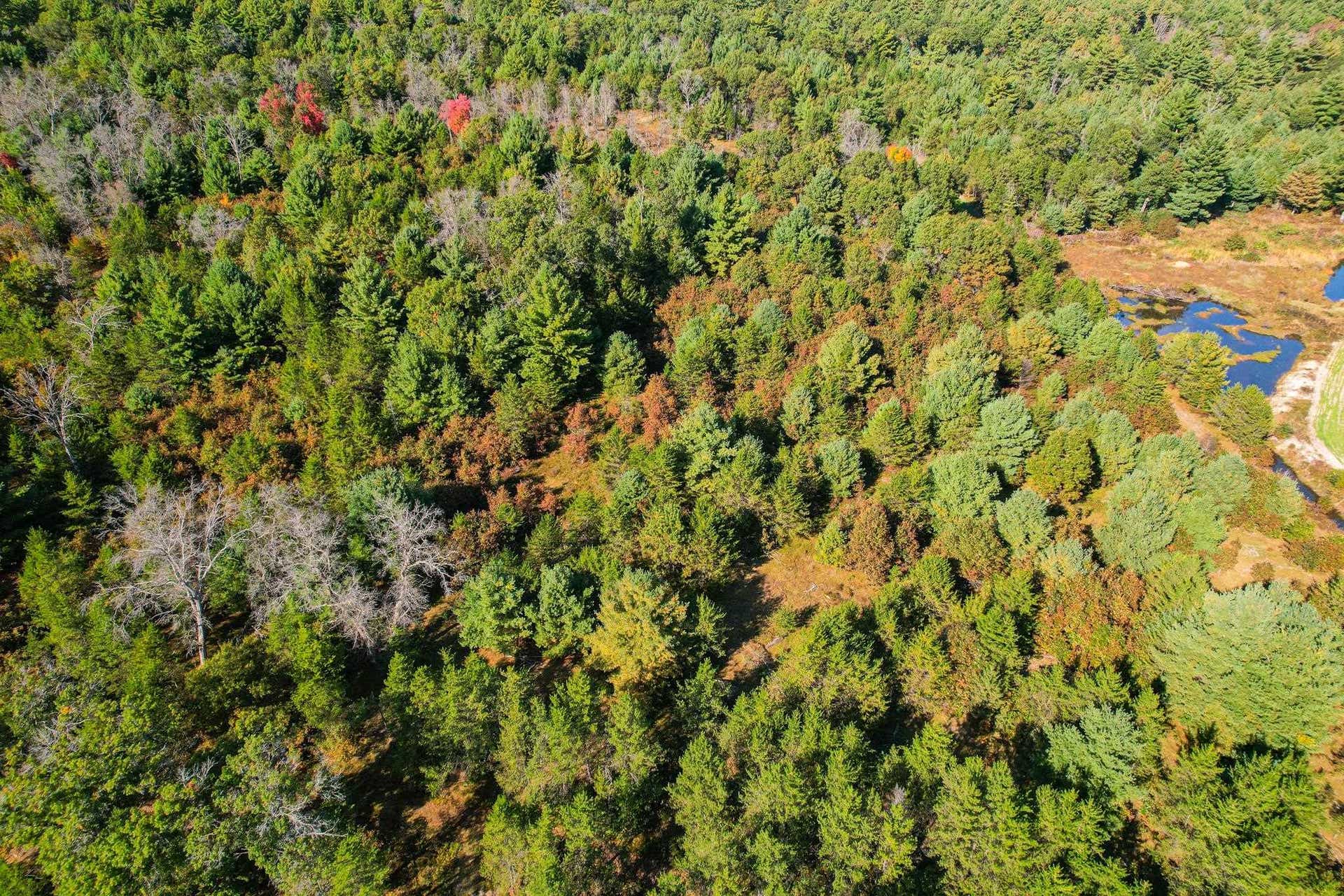 Lot 3 W 19th Street, Necedah, WI 54646