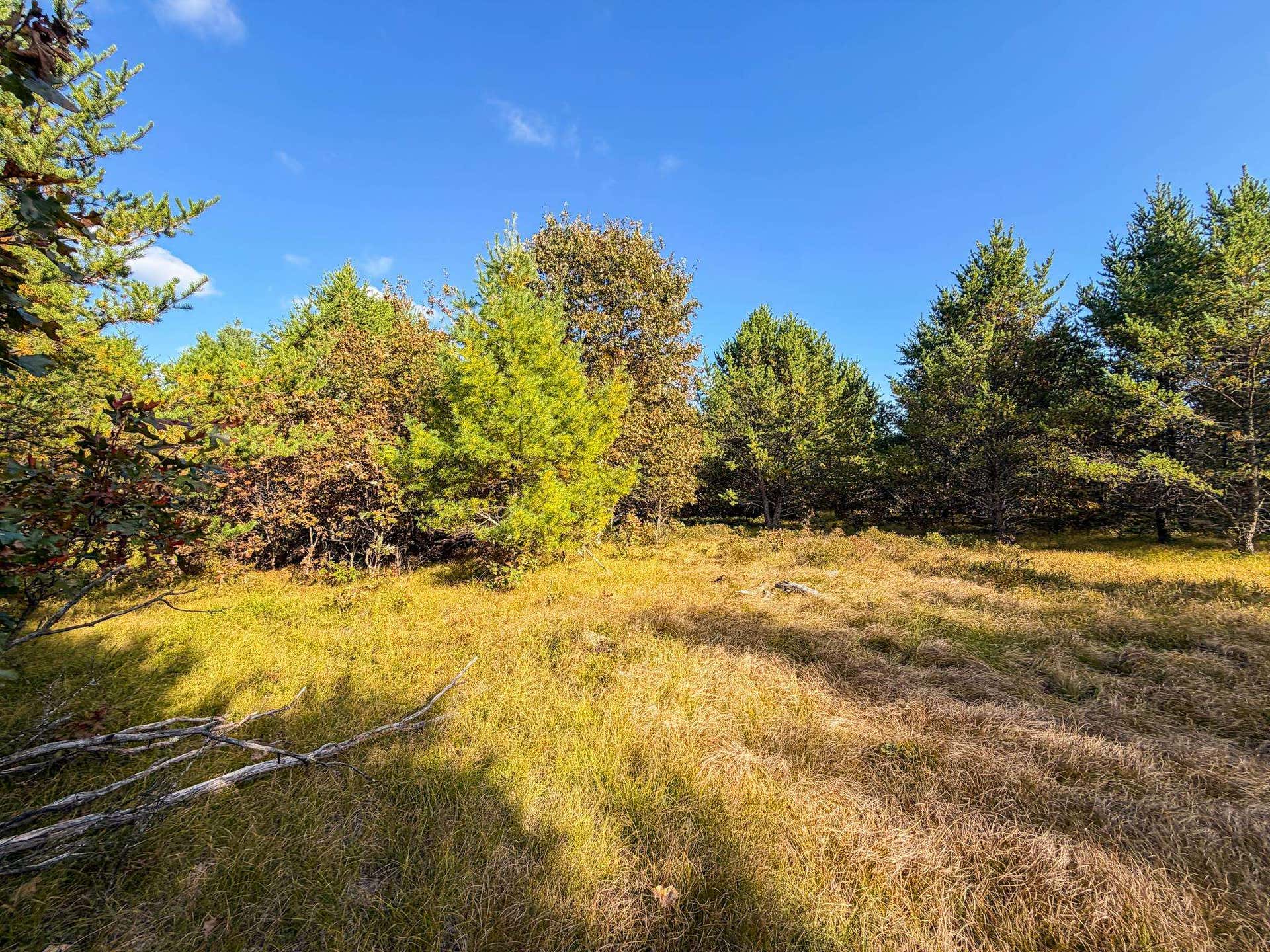 Lot 3 W 19th Street, Necedah, WI 54646