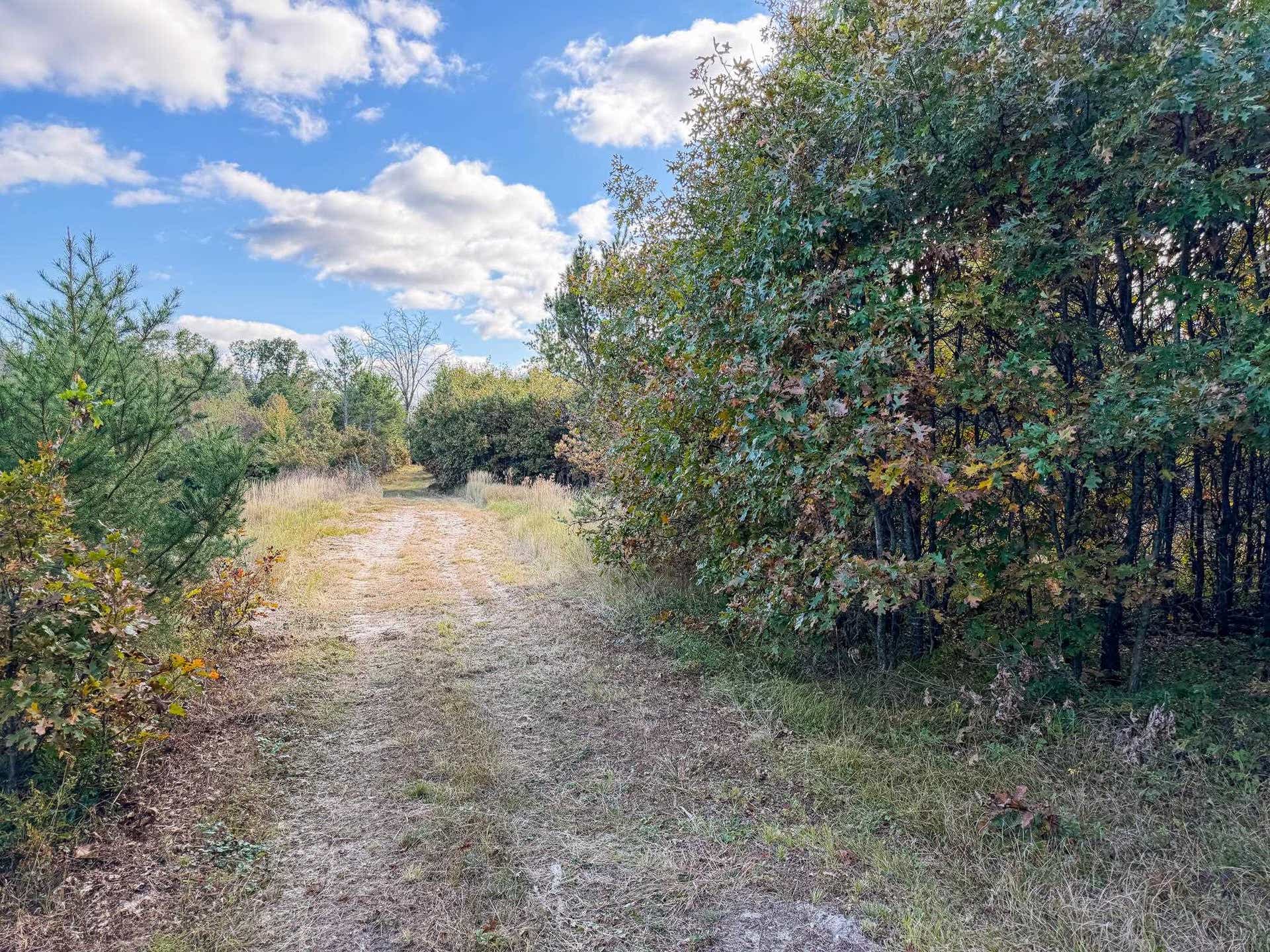 Lot 3 W 19th Street, Necedah, WI 54646