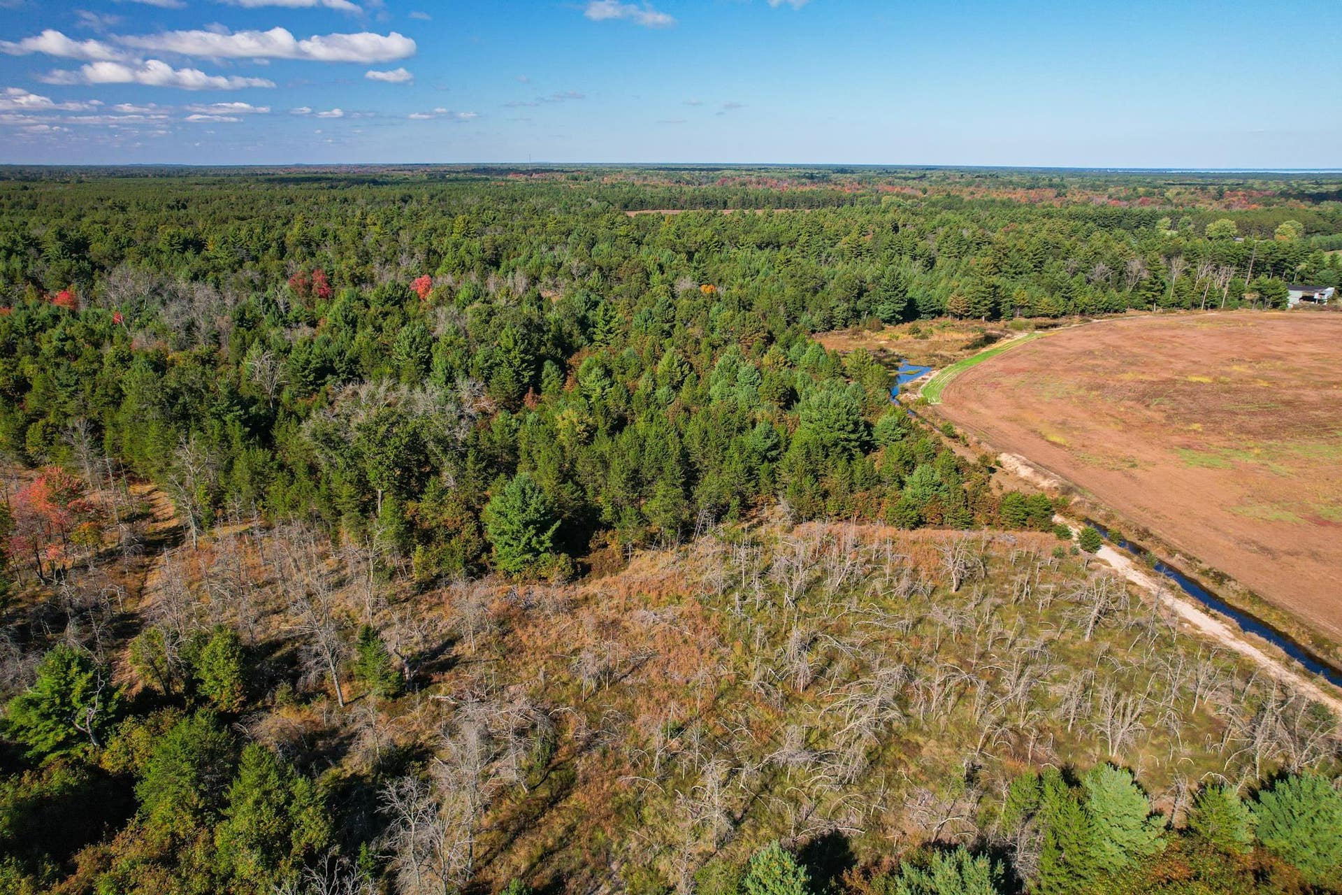 Lot 3 W 19th Street, Necedah, WI 54646